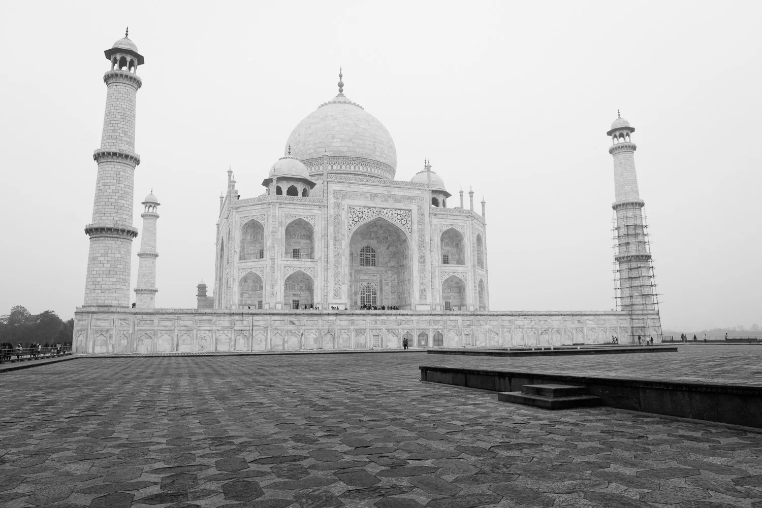 _DSC7900-2.jpg