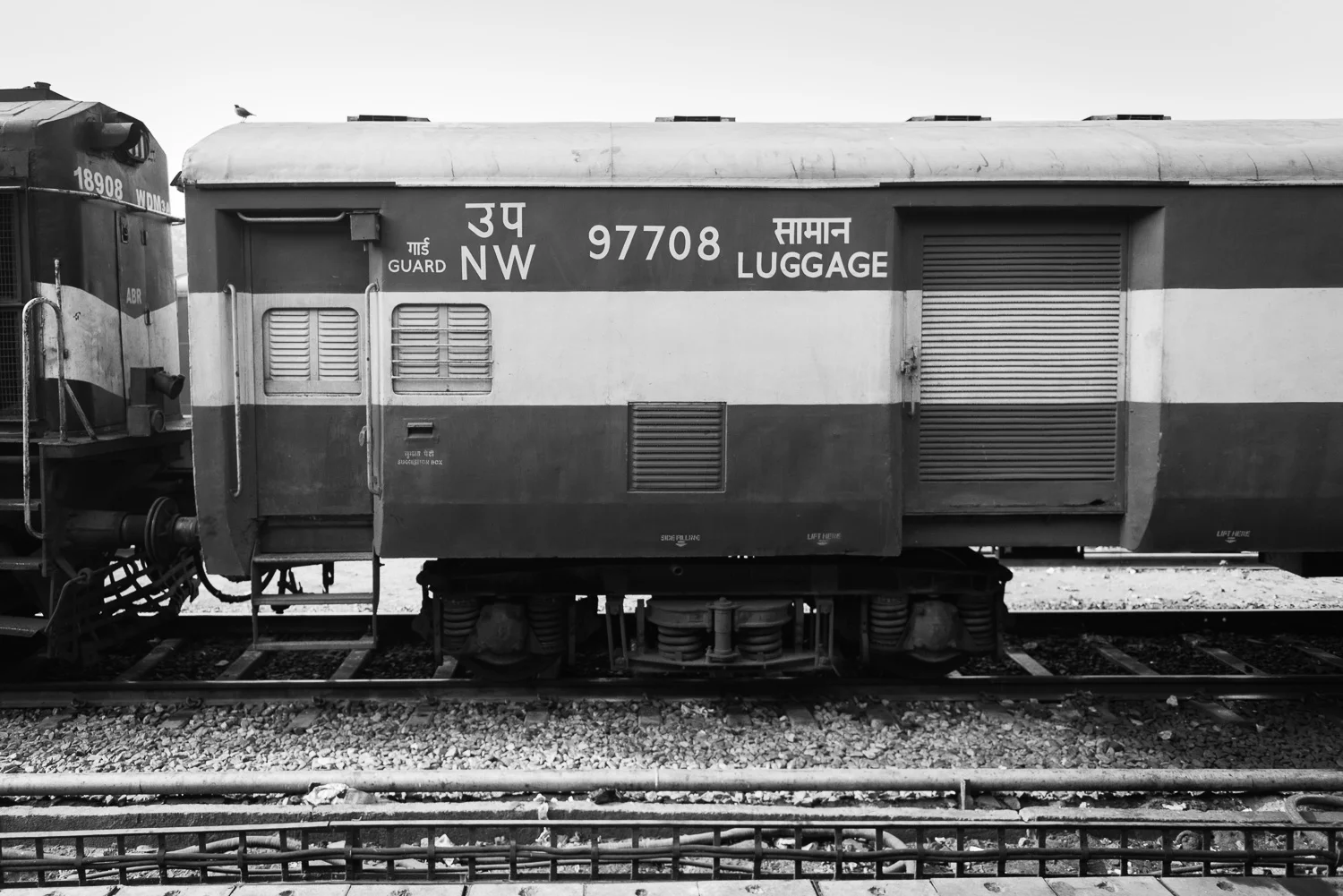 _DSC8020-2.jpg
