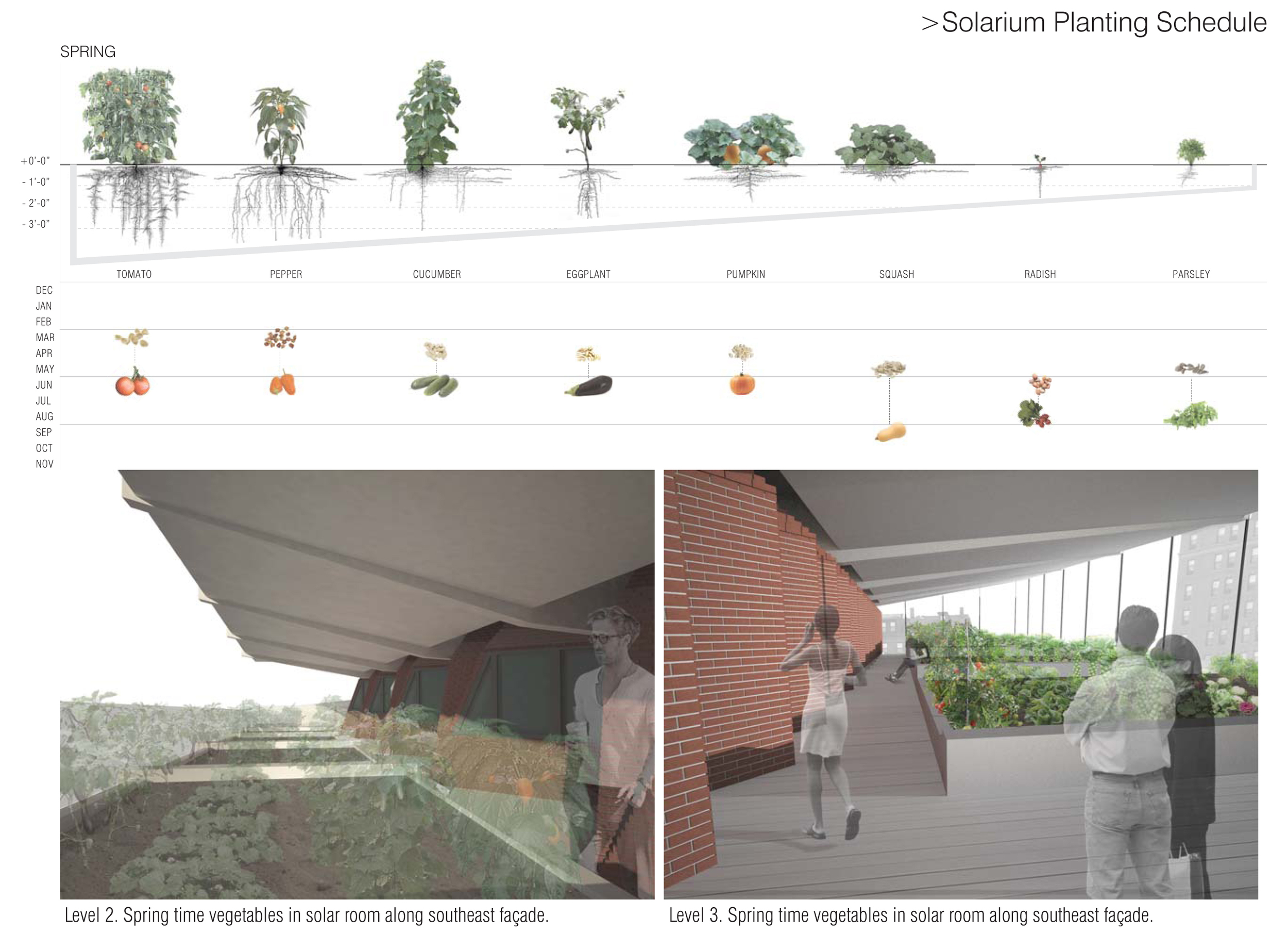 Urban Solarium is a layering of systems. The solar rooms are protected with large sliding doors that remain open in the summer to promote air circulation and to prevent overheating. During winter time, the sliders will be closed to create a greenhouse scenario for raising room air temperature using passive solar strategy.