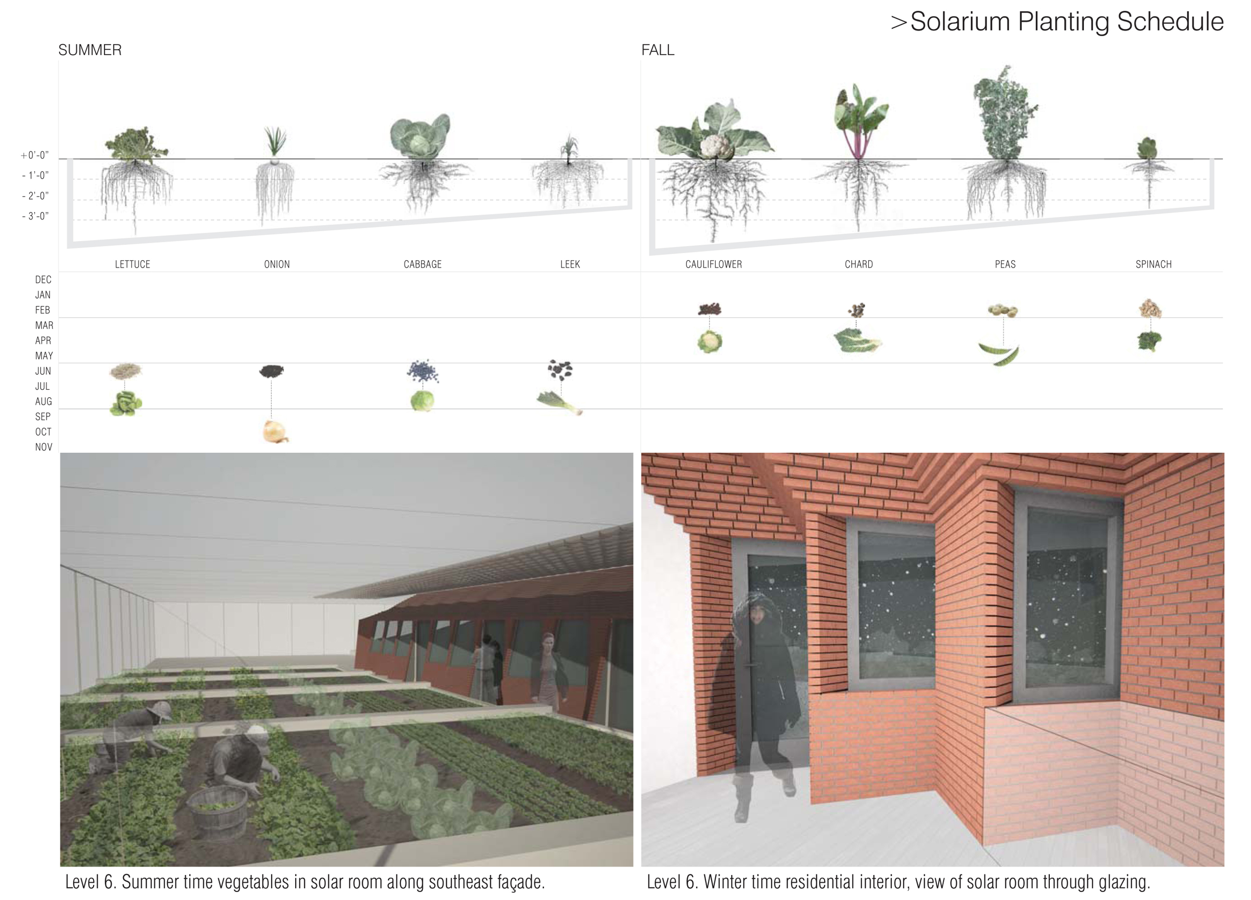The masonry wall is rotated 45 degrees for direct southern exposure and pleated to increase surface area. It absorbs radiant energy during daytime and releases it later due to diurnal swing. In winter evenings, the solar room provides both radiant and convection heat delivered into the living space through operable vents.