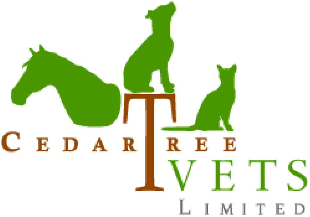 CedarTree Vets Limited | Bermuda Concierge Veterinary Service