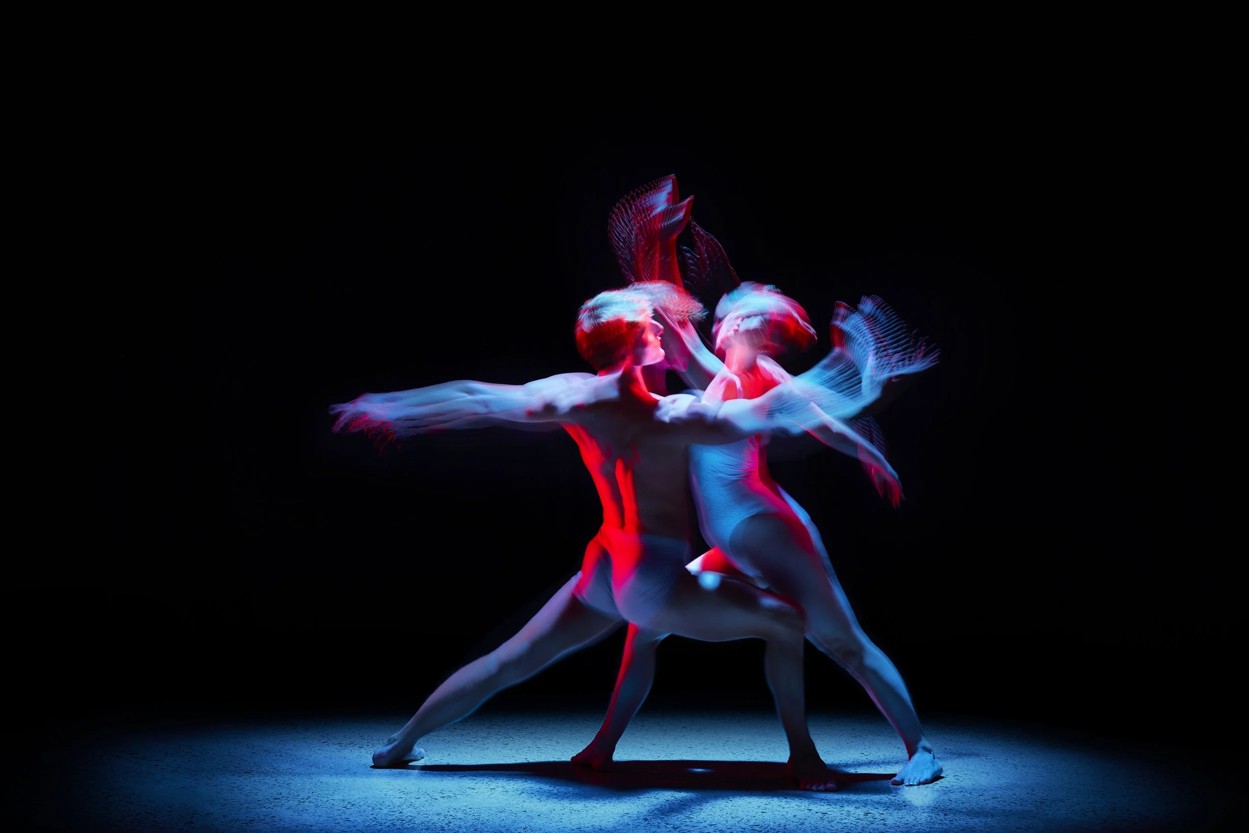 251010_Canon_Dance_Black_Set_3319_1.jpg