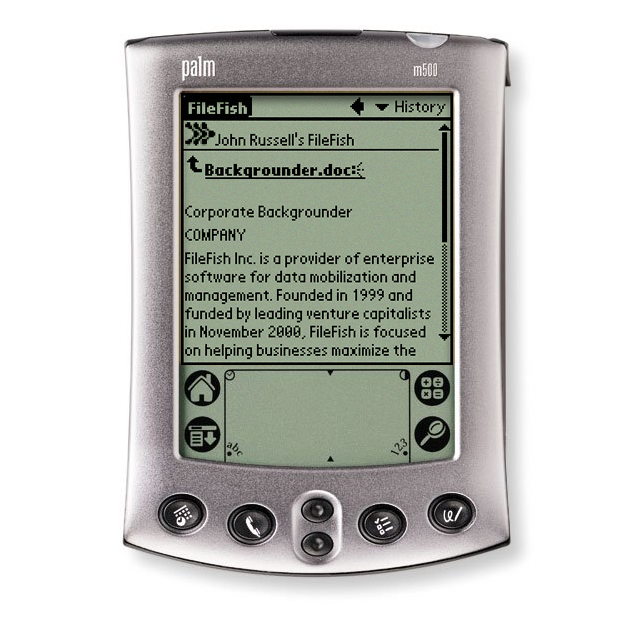 ff_palm_document.png
