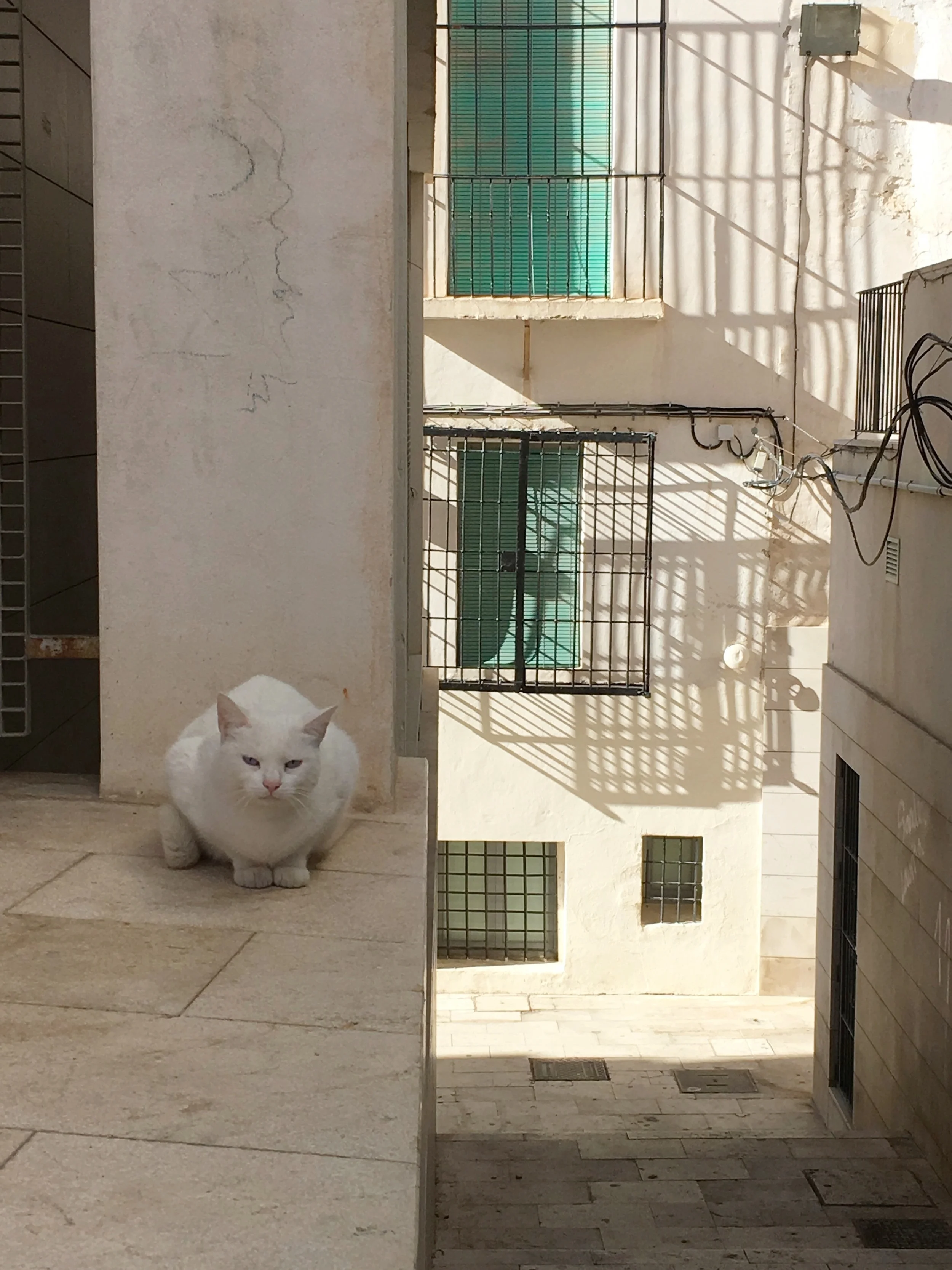 Life in Alicante, Spain (Part 1)