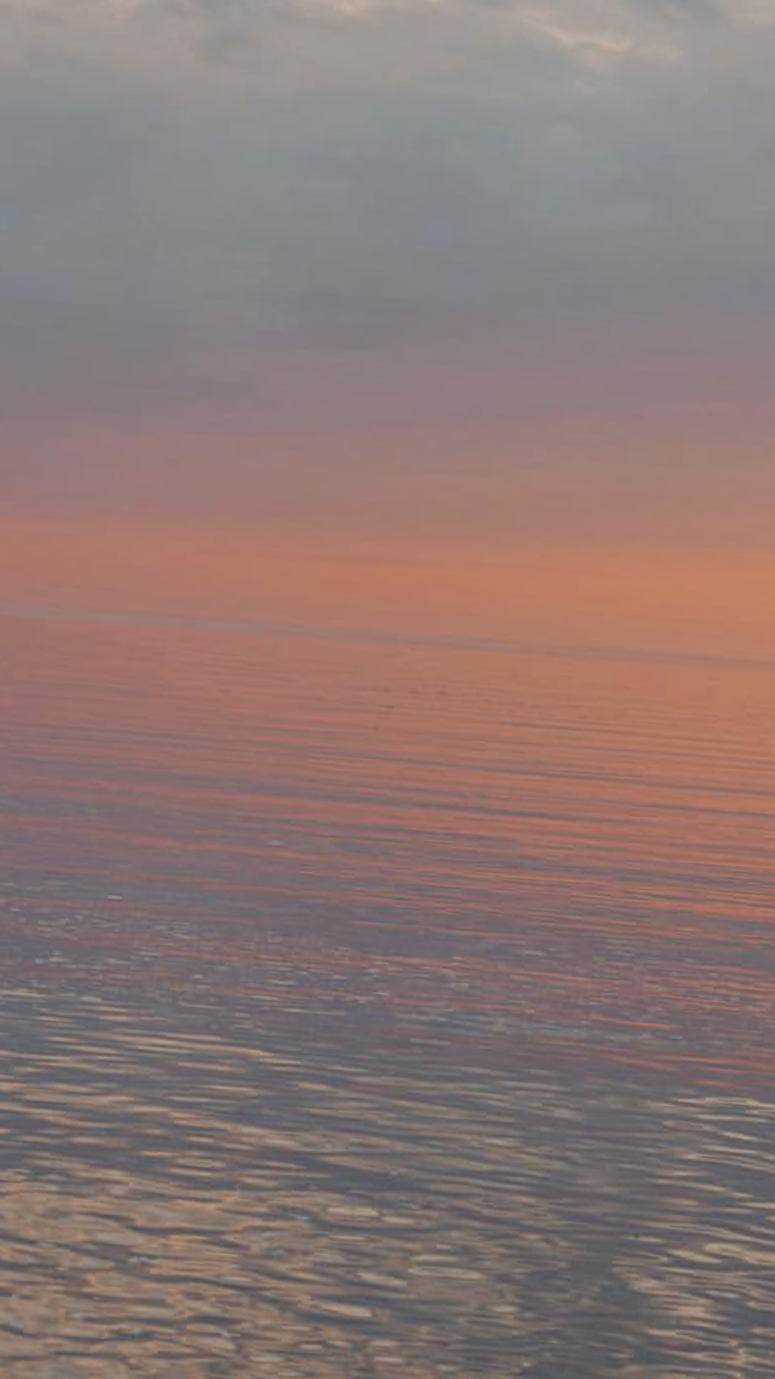 IMG_6032+2.png