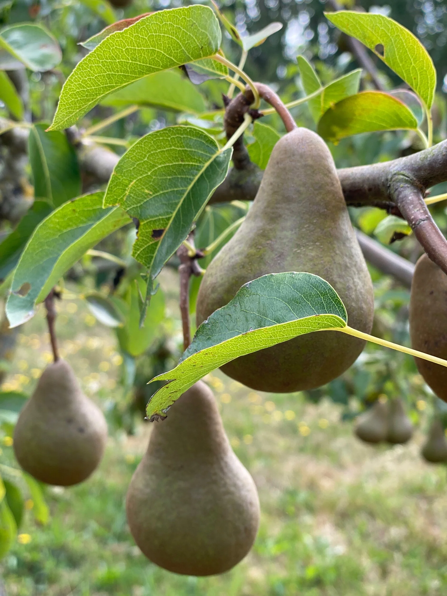 06008DFB-DB65-4B10-A367-B66320EC762D