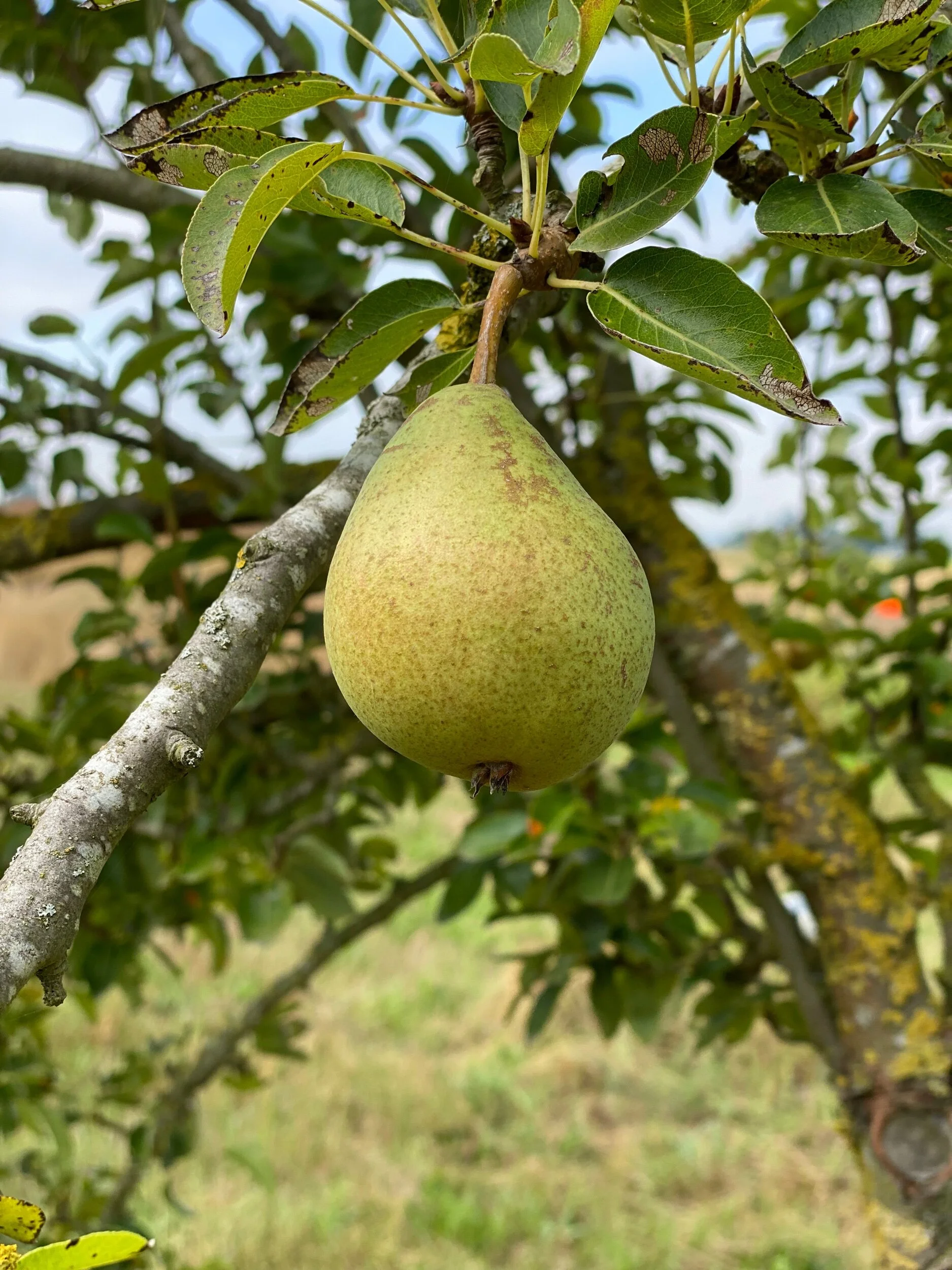 6D9AB5C1-2C7F-4316-94CC-B3A95772FEEE