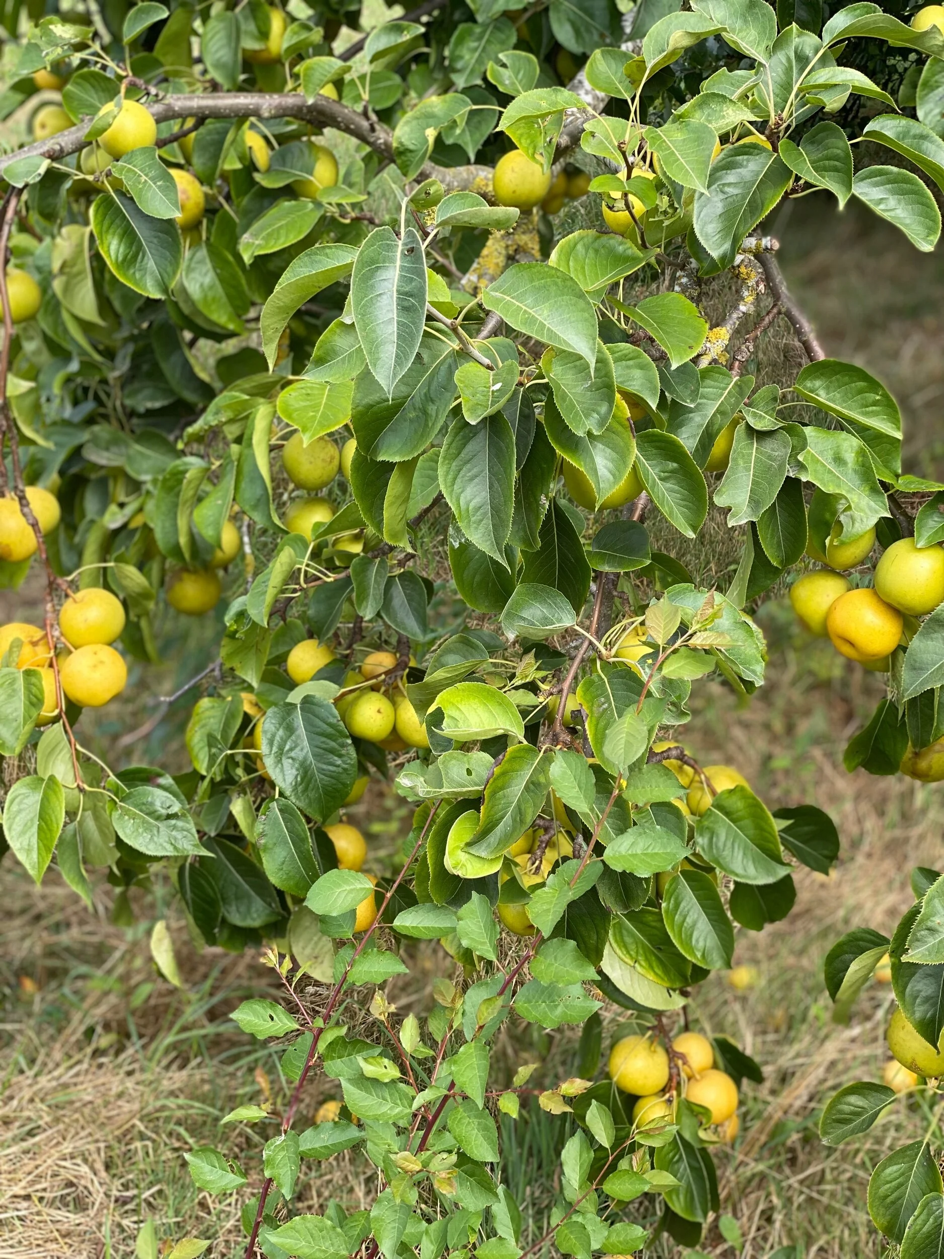 3EC51DBA-330A-44E7-968E-1ABFC7983707