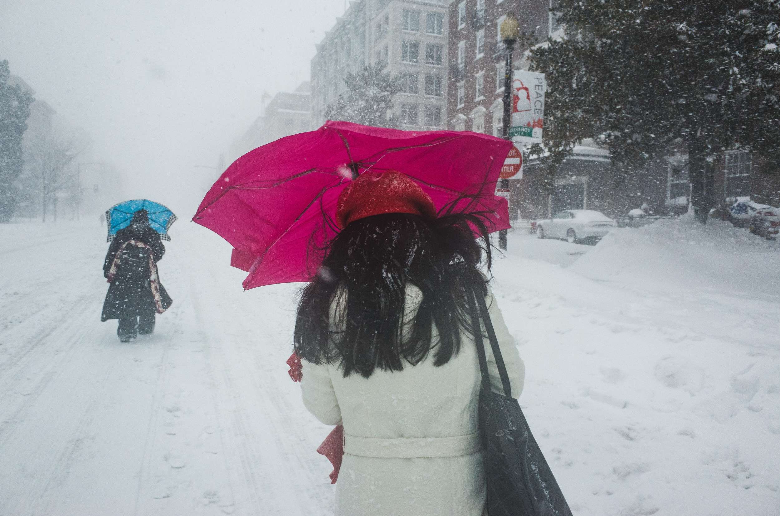 Blizzard Jonas Washington DC 2016 Photographer Mantas Kubilinskas-21.jpg