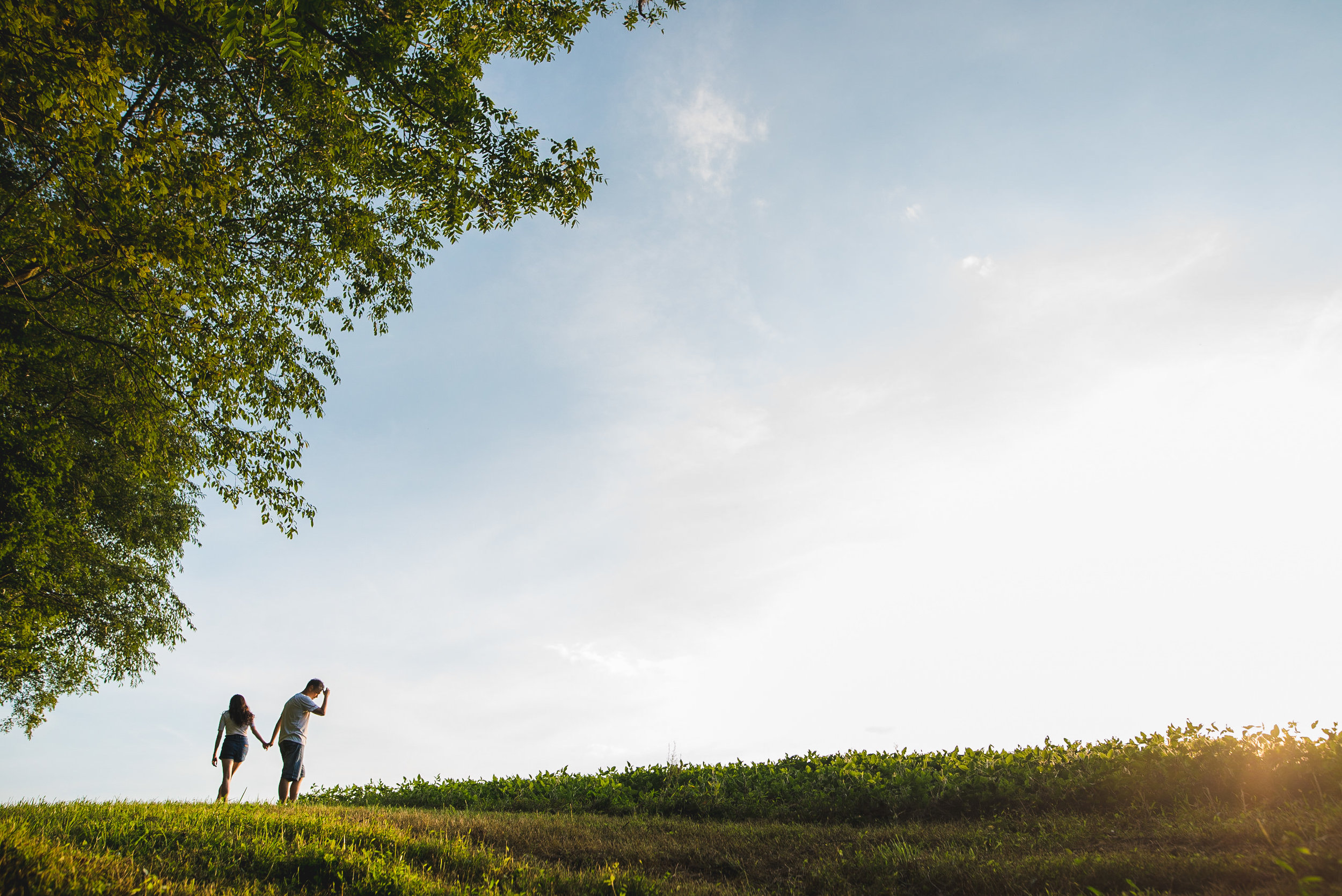 Sunflower Field Maryland Engagement Photographer Mantas Kubilinskas-4.jpg