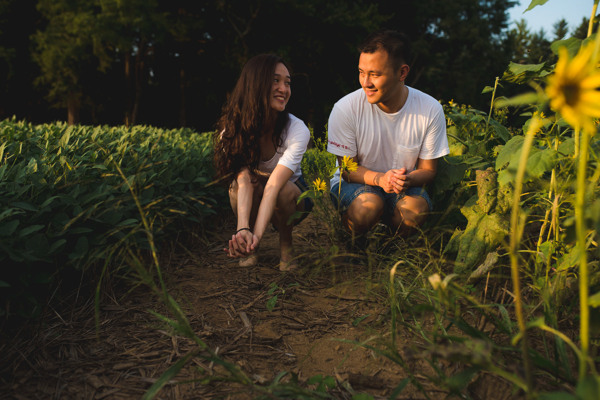 Sunflower Field Maryland Engagement Photographer Mantas Kubilinskas-6.jpg