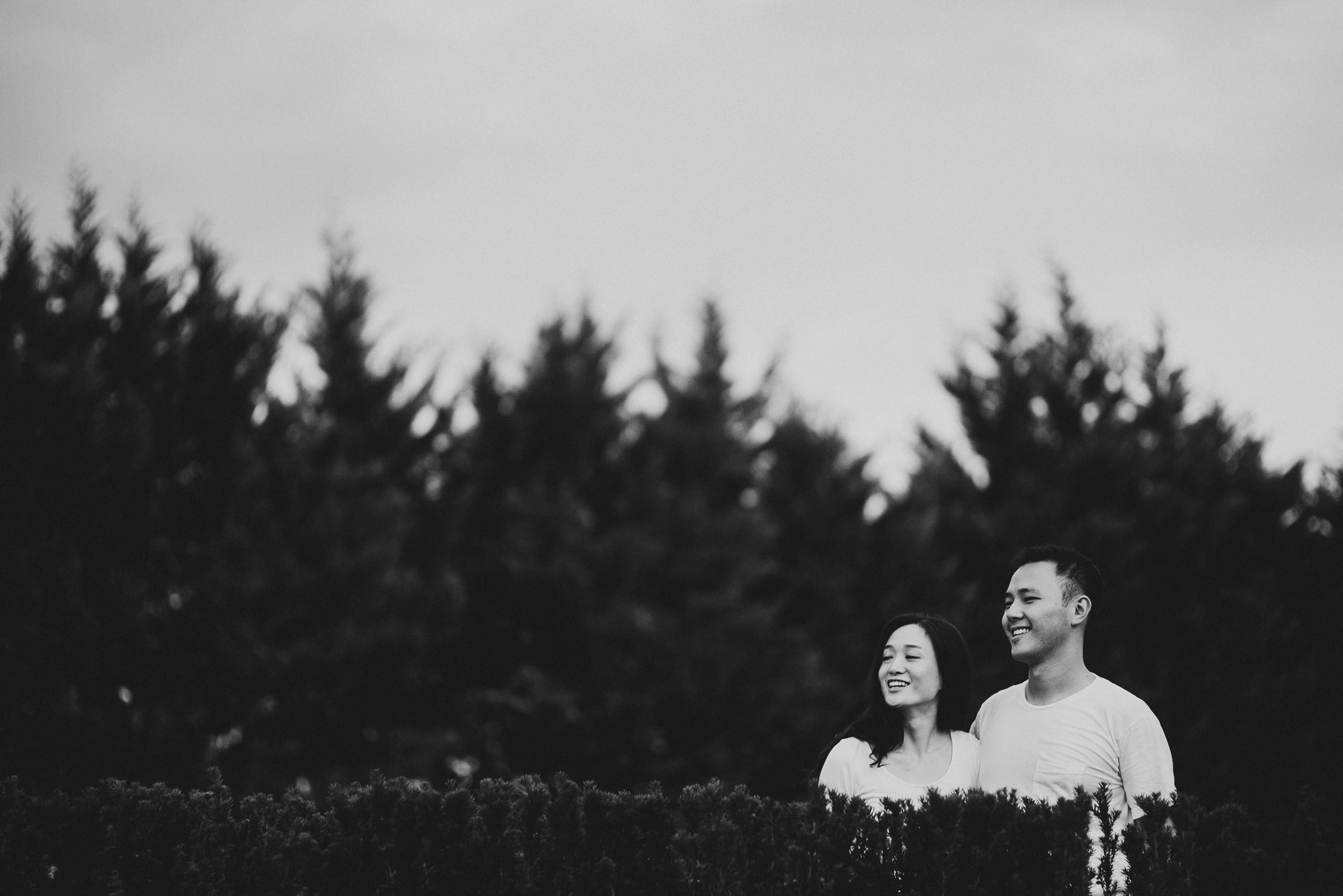 Sunflower Field Maryland Engagement Photographer Mantas Kubilinskas-10.jpg