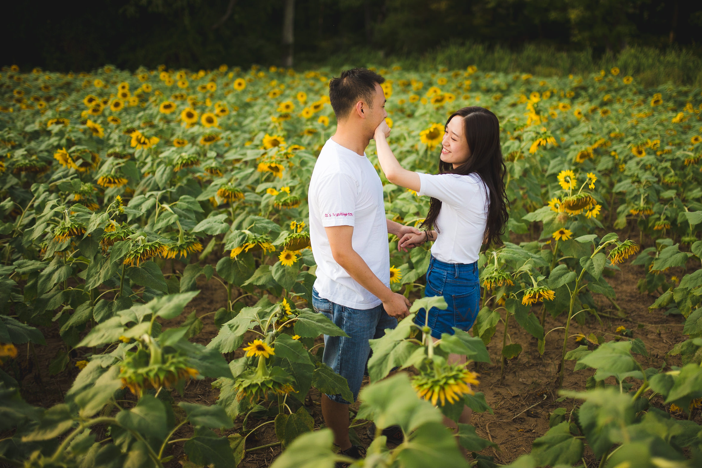 Sunflower Field Maryland Engagement Photographer Mantas Kubilinskas.jpg