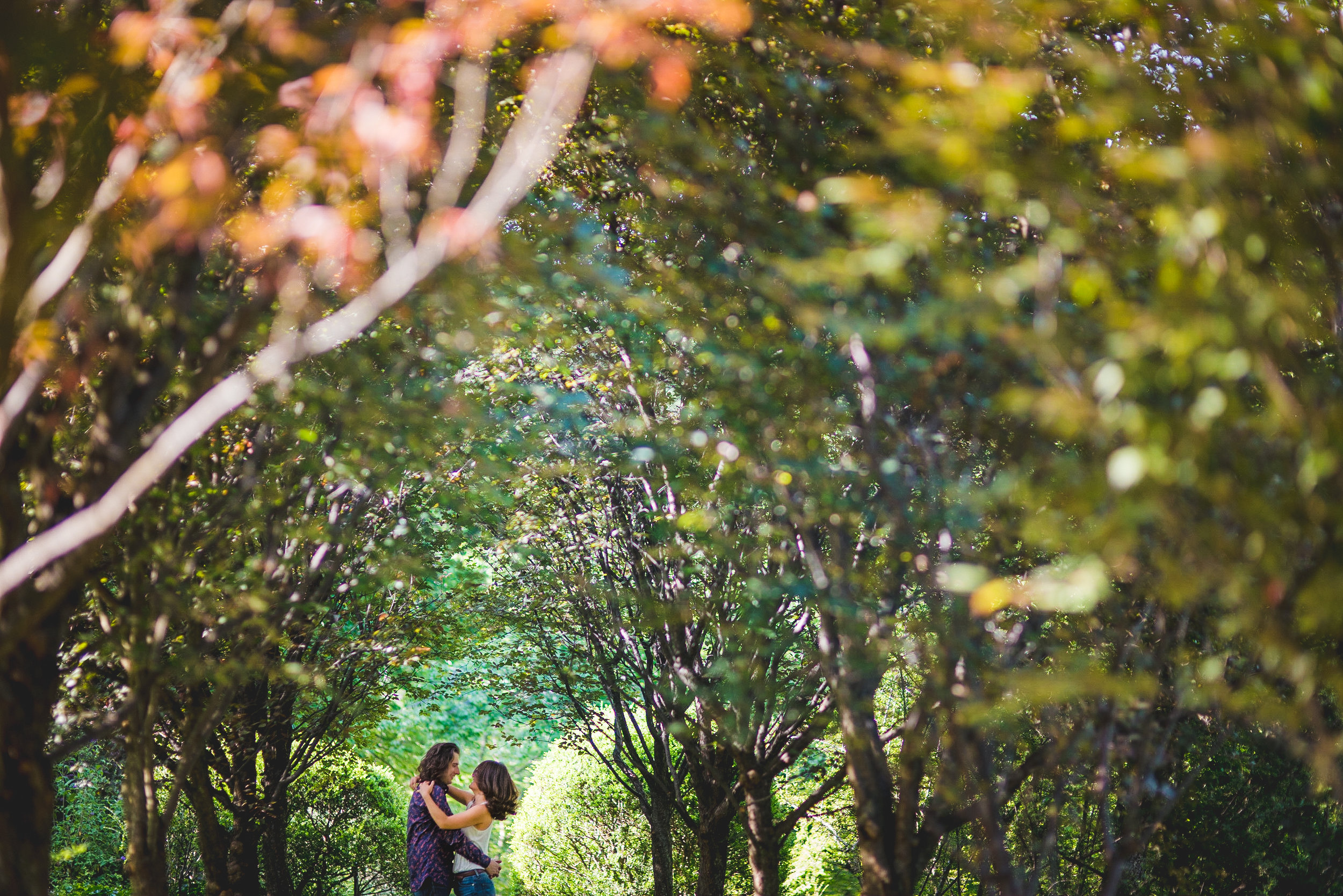  dumbarton oaks engagement session 