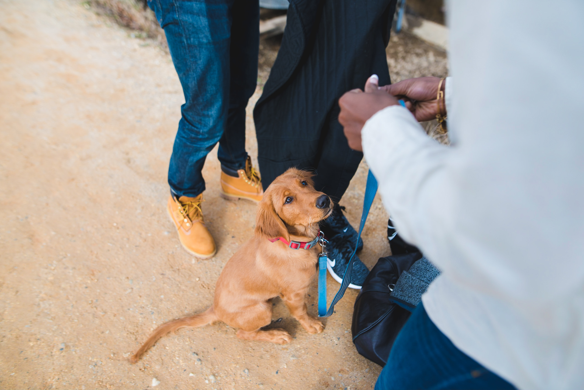 great falls engagement photos