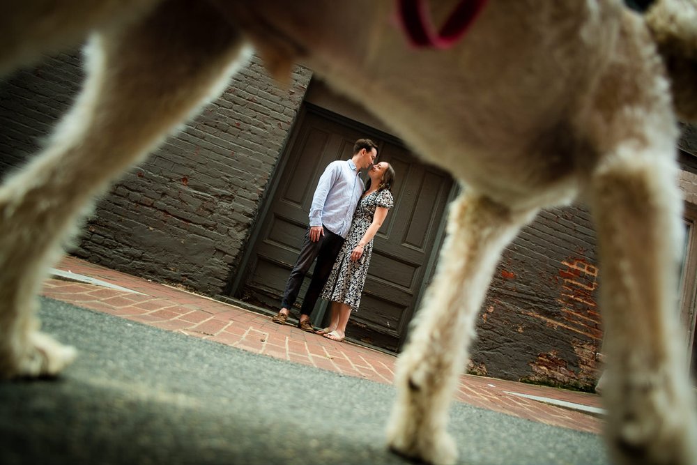 Washington DC engagement session, artistic engagement and with dog photographer Mantas Kubilinskas-14.jpg