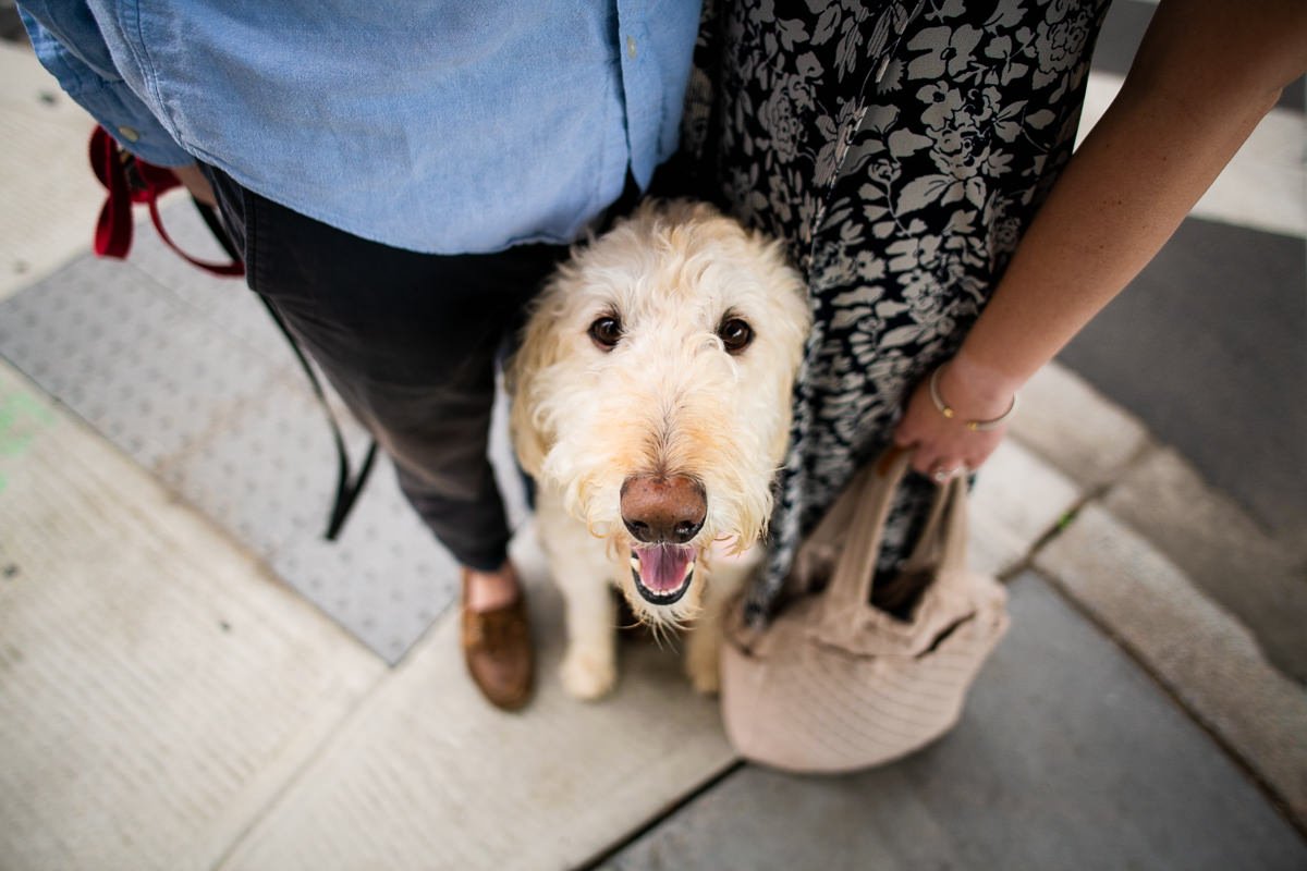 Washington DC engagement session, artistic engagement and with dog photographer Mantas Kubilinskas-15.jpg