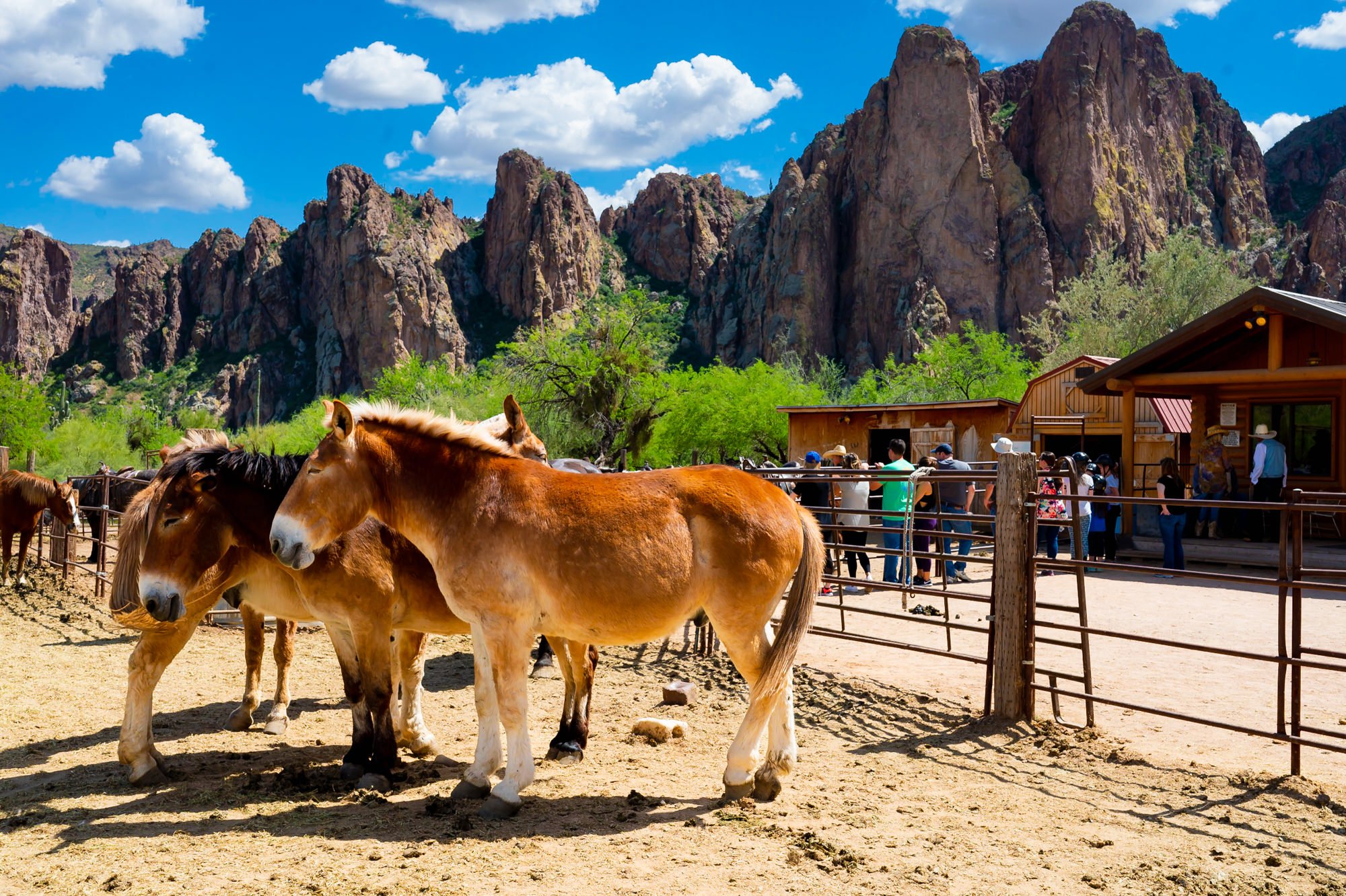 Saguaro Lake Guest Ranch The Perfect Location for a Laid-Back Fun-Filled Wedding. The best documentary wedding photographer Mantas Kubilinskas-2.jpg