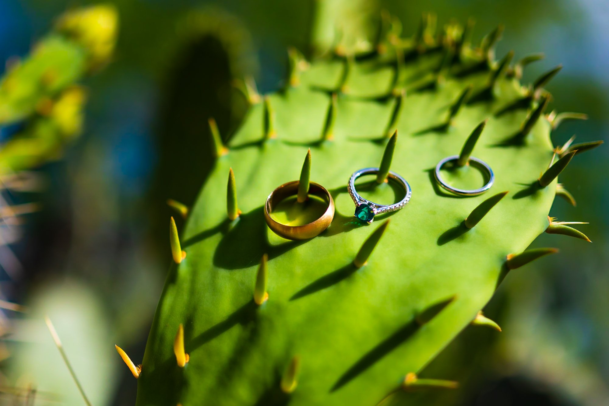 Saguaro Lake Guest Ranch The Perfect Location for a Laid-Back Fun-Filled Wedding. The best documentary wedding photographer Mantas Kubilinskas-13.jpg