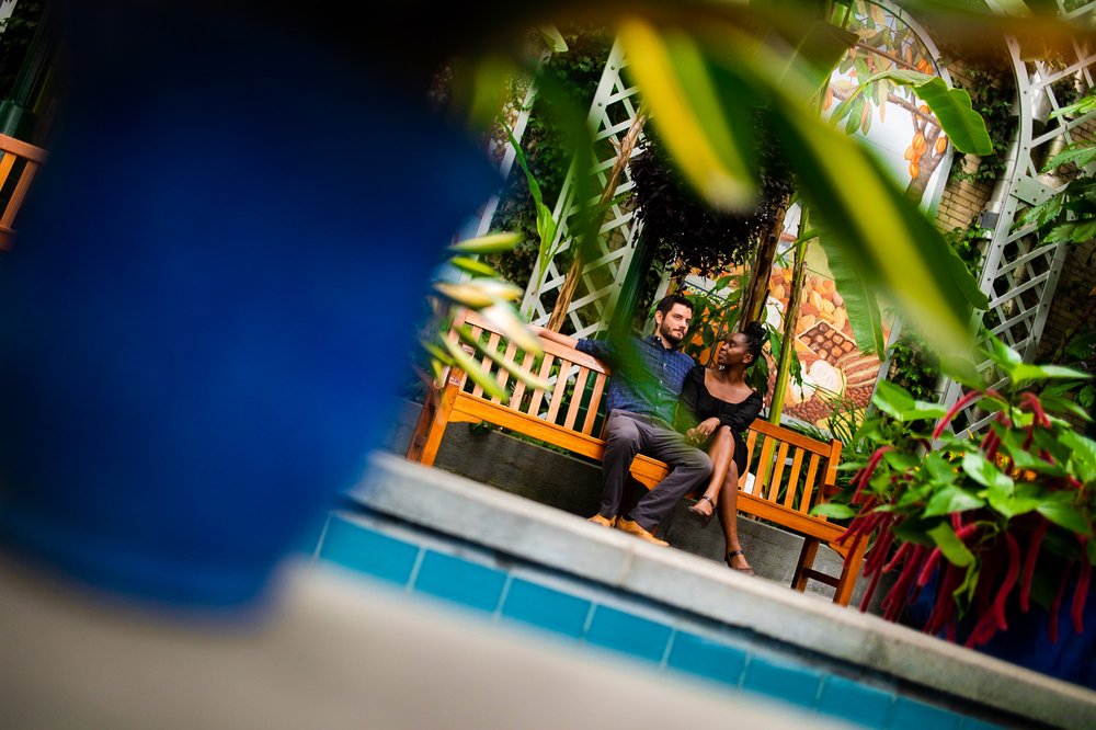  In this images, Matt and Furaha are captured in a romantic embrace amidst the beautiful setting of the botanical garden in Washington, D.C. The lush greenery and colorful flowers provide a stunning backdrop for their special moment. The couple's lov