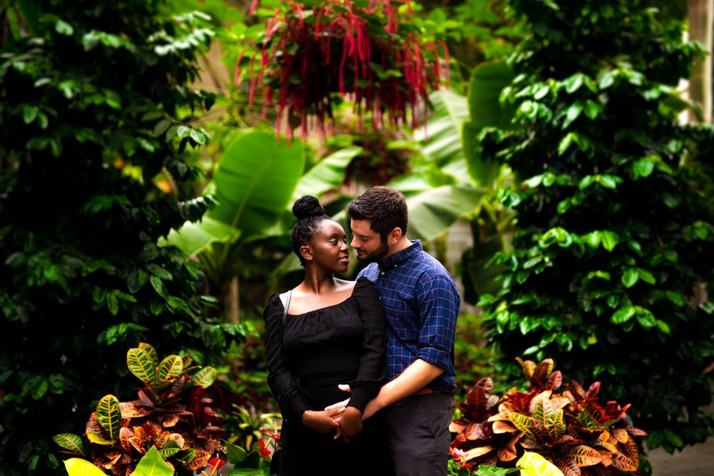  In this images, Matt and Furaha are captured in a romantic embrace amidst the beautiful setting of the botanical garden in Washington, D.C. The lush greenery and colorful flowers provide a stunning backdrop for their special moment. The couple's lov