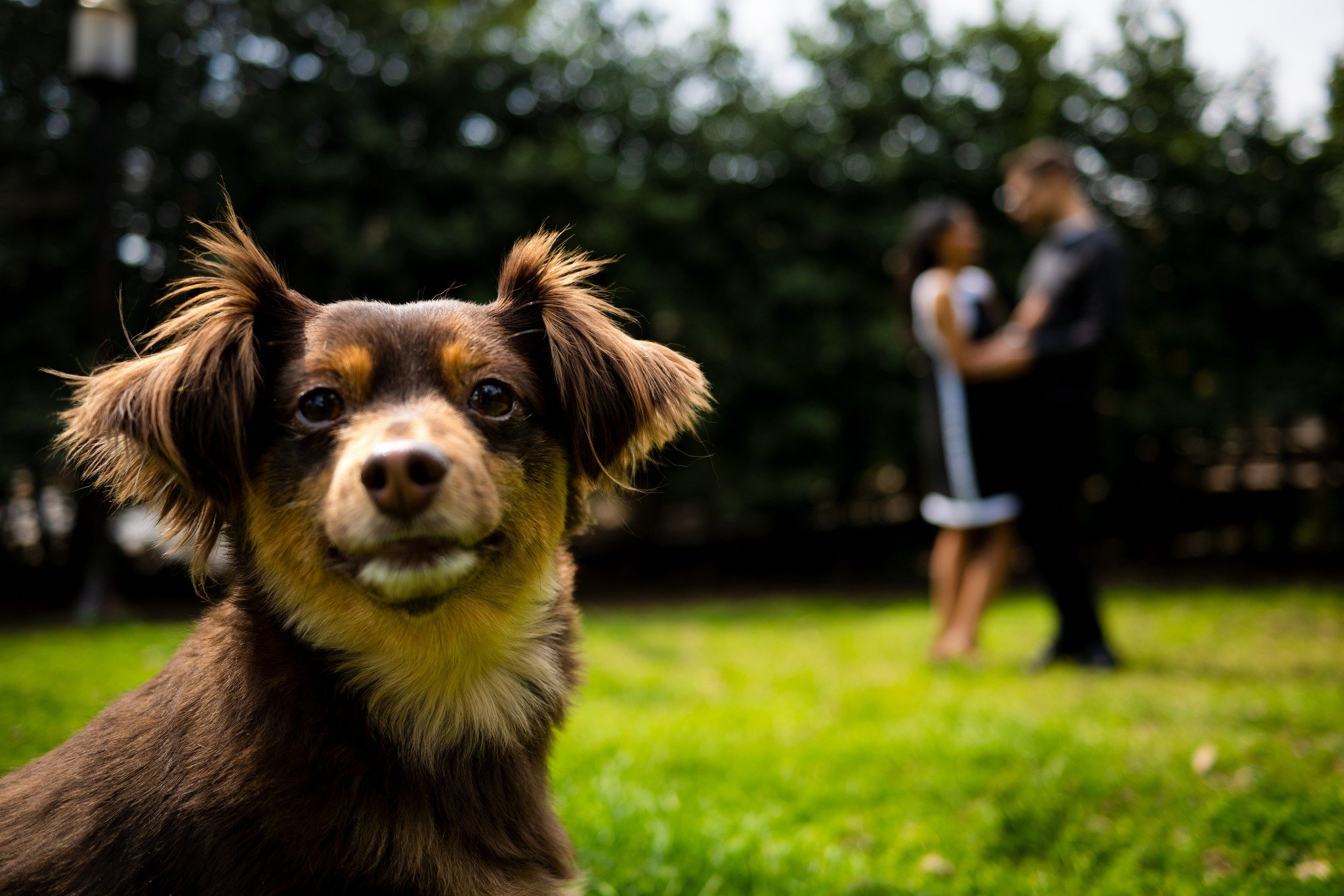 Bring your furry friend along to the photoshoot and create unforgettable memories together! 🐾✨