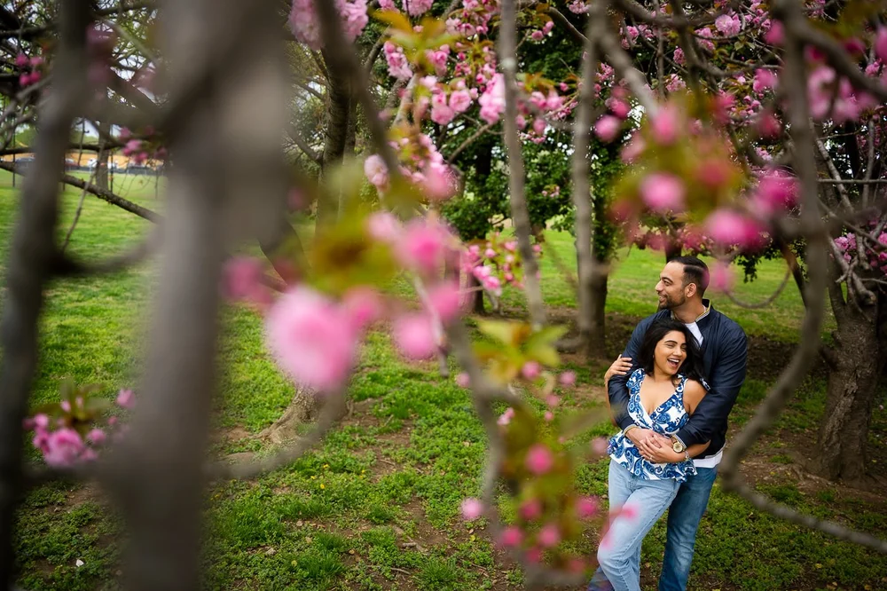 DC cherry blossom engagement photos