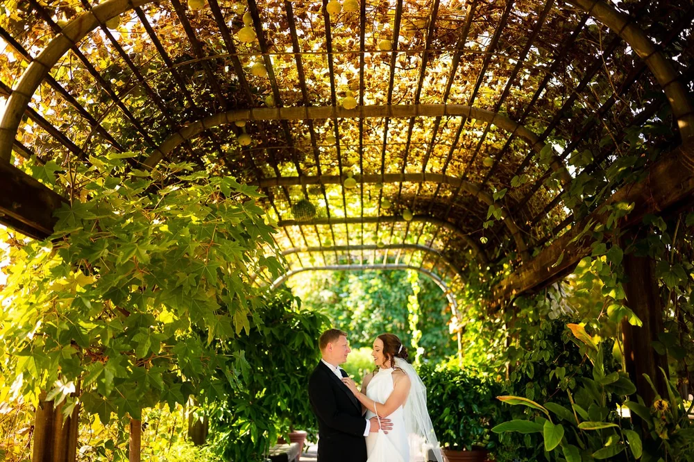 Romantic bride and groom portrait beneath a vine arbor at the National Arboretum