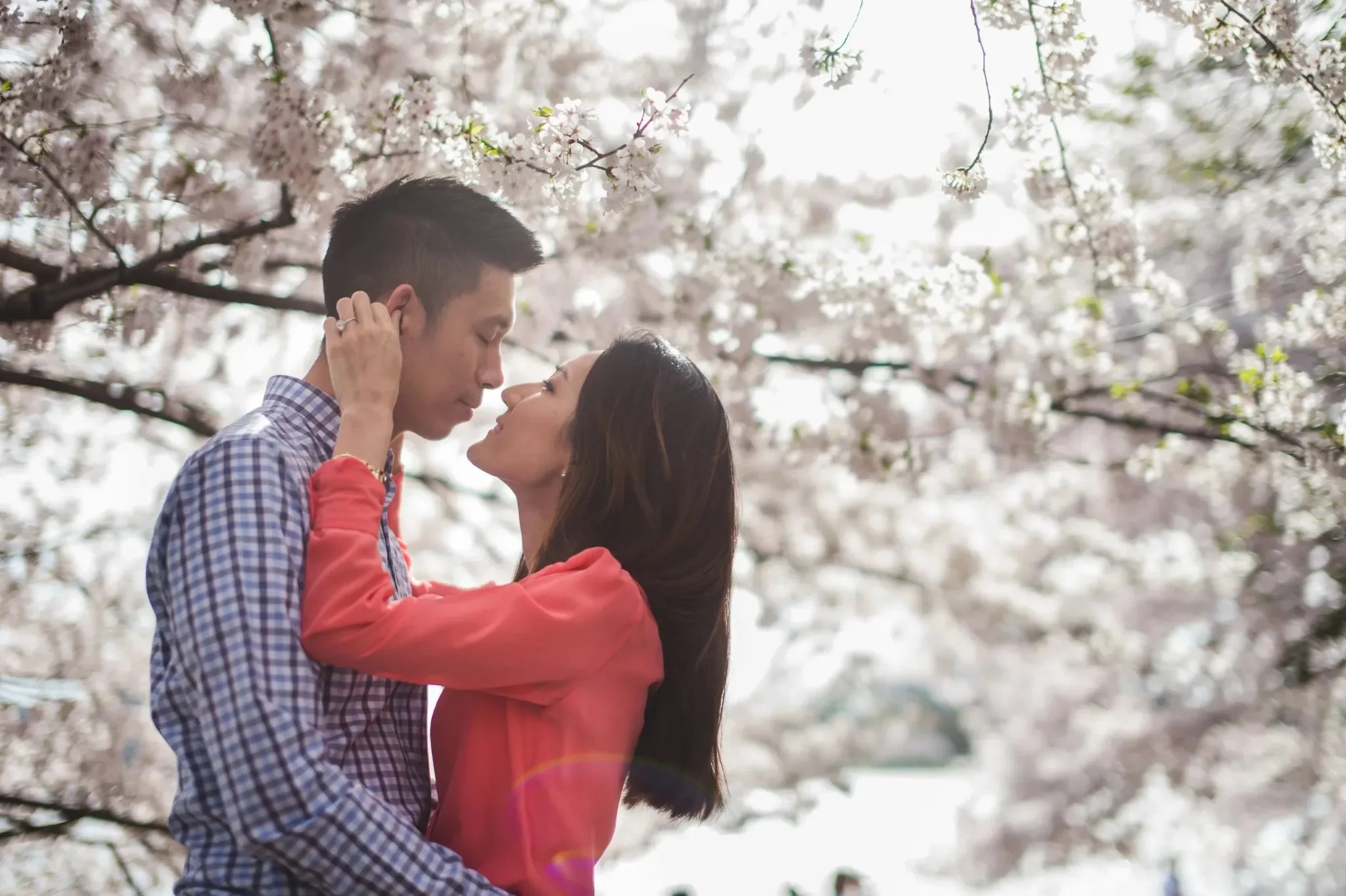Cherry Blossom Engagement Session in Washington DC