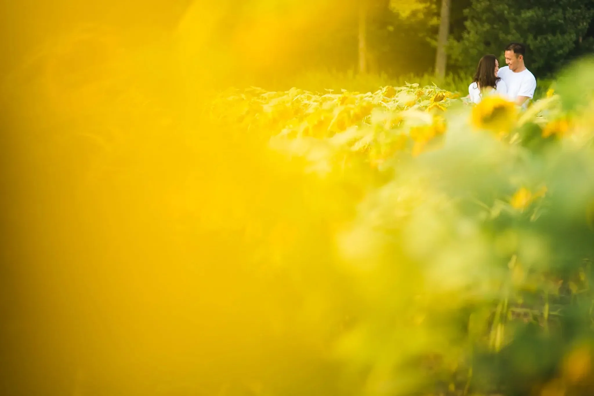 Sunflower Field Engagement Session in Maryland