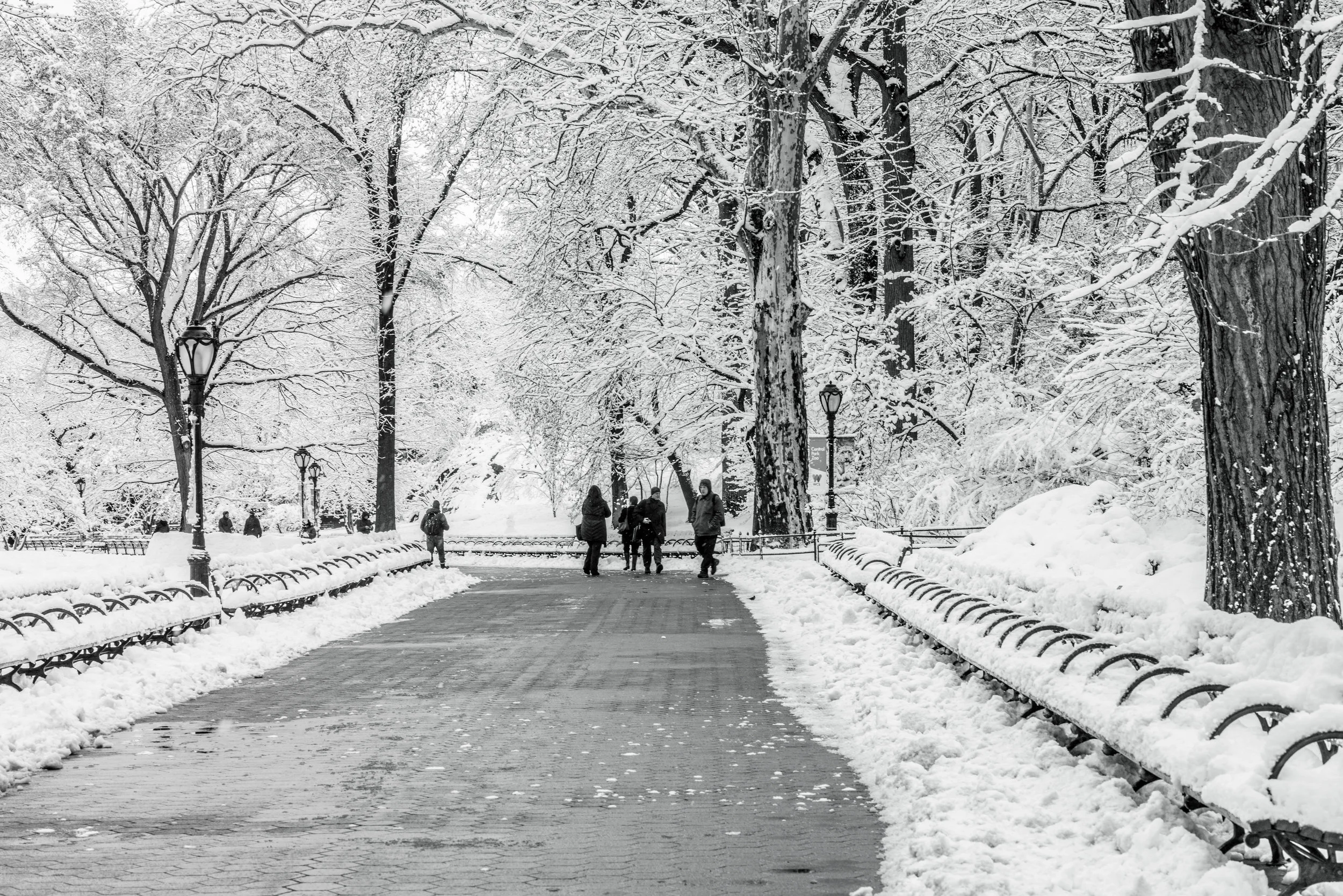 New_York_18.jpg