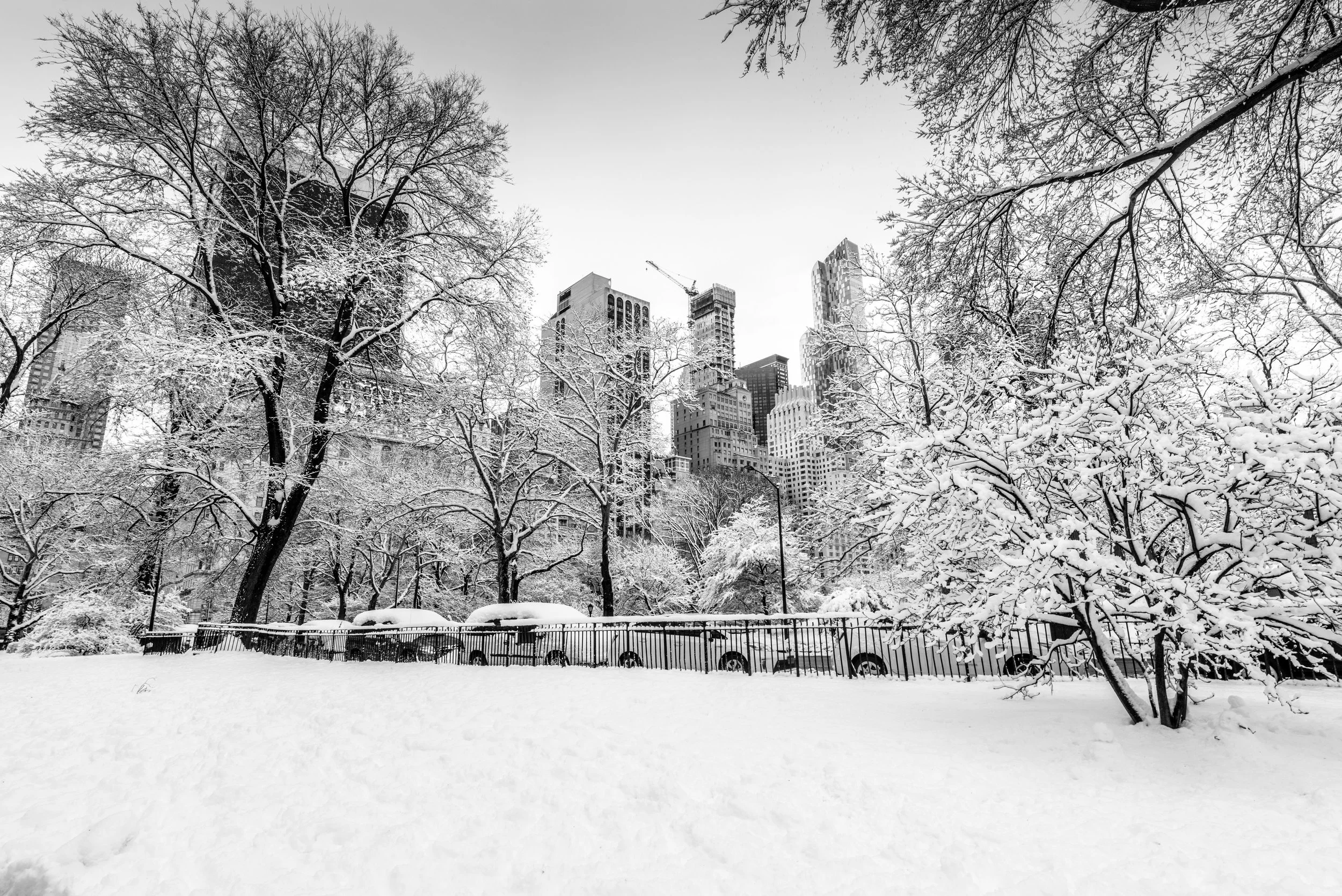 New_York_19.jpg