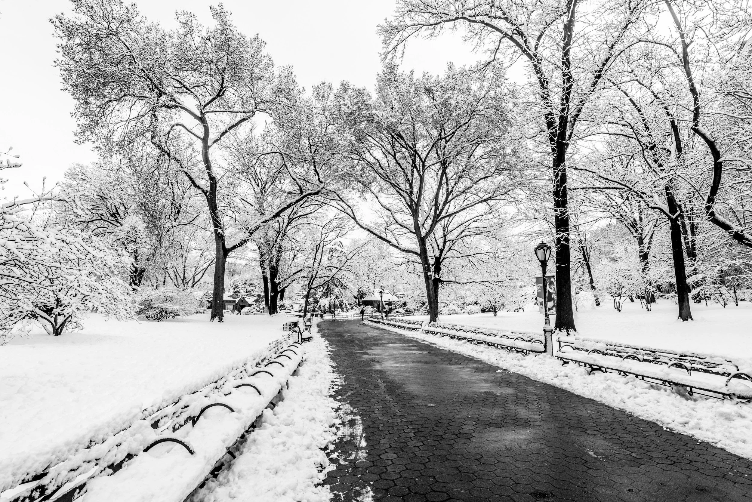 New_York_20.jpg