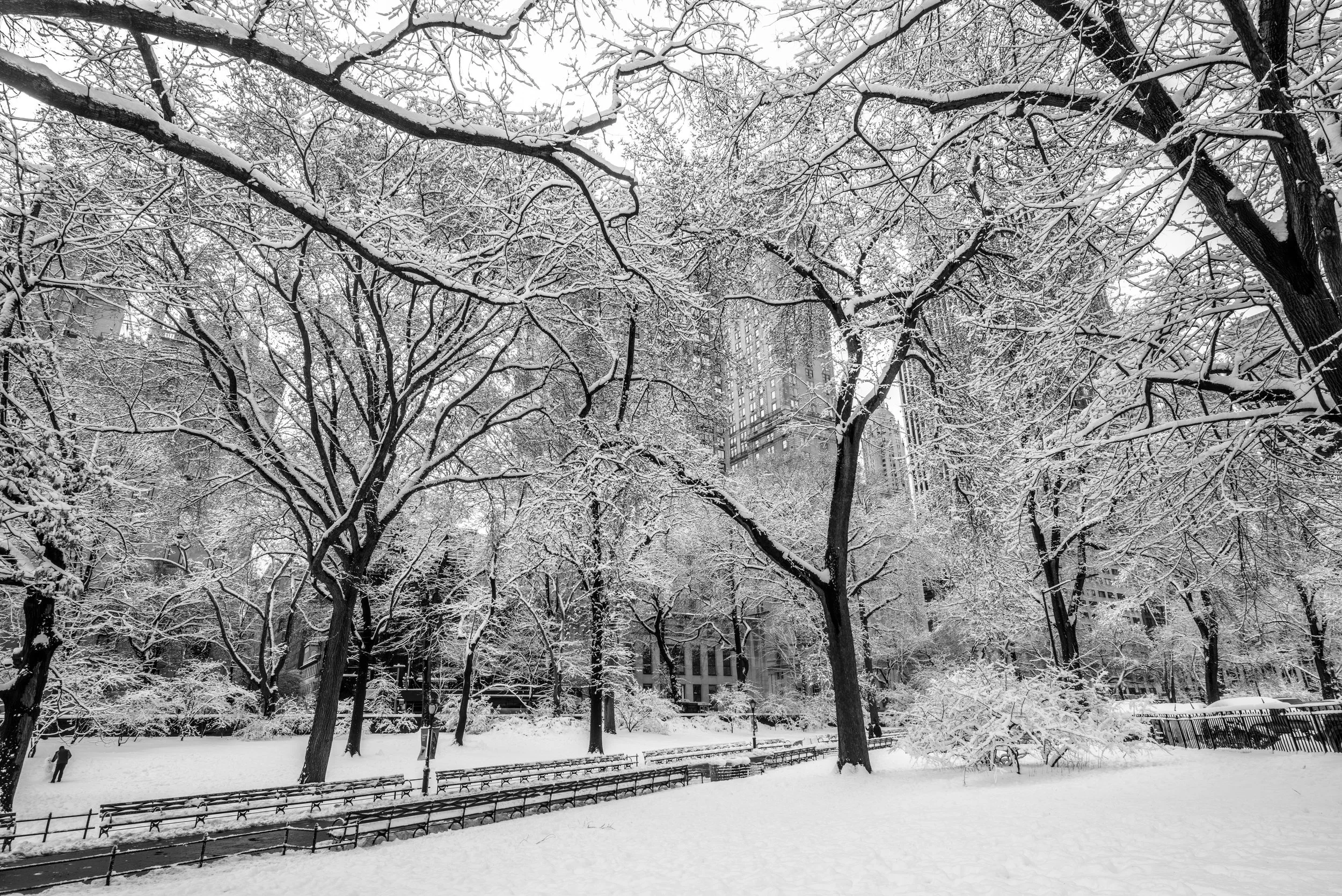 New_York_21.jpg
