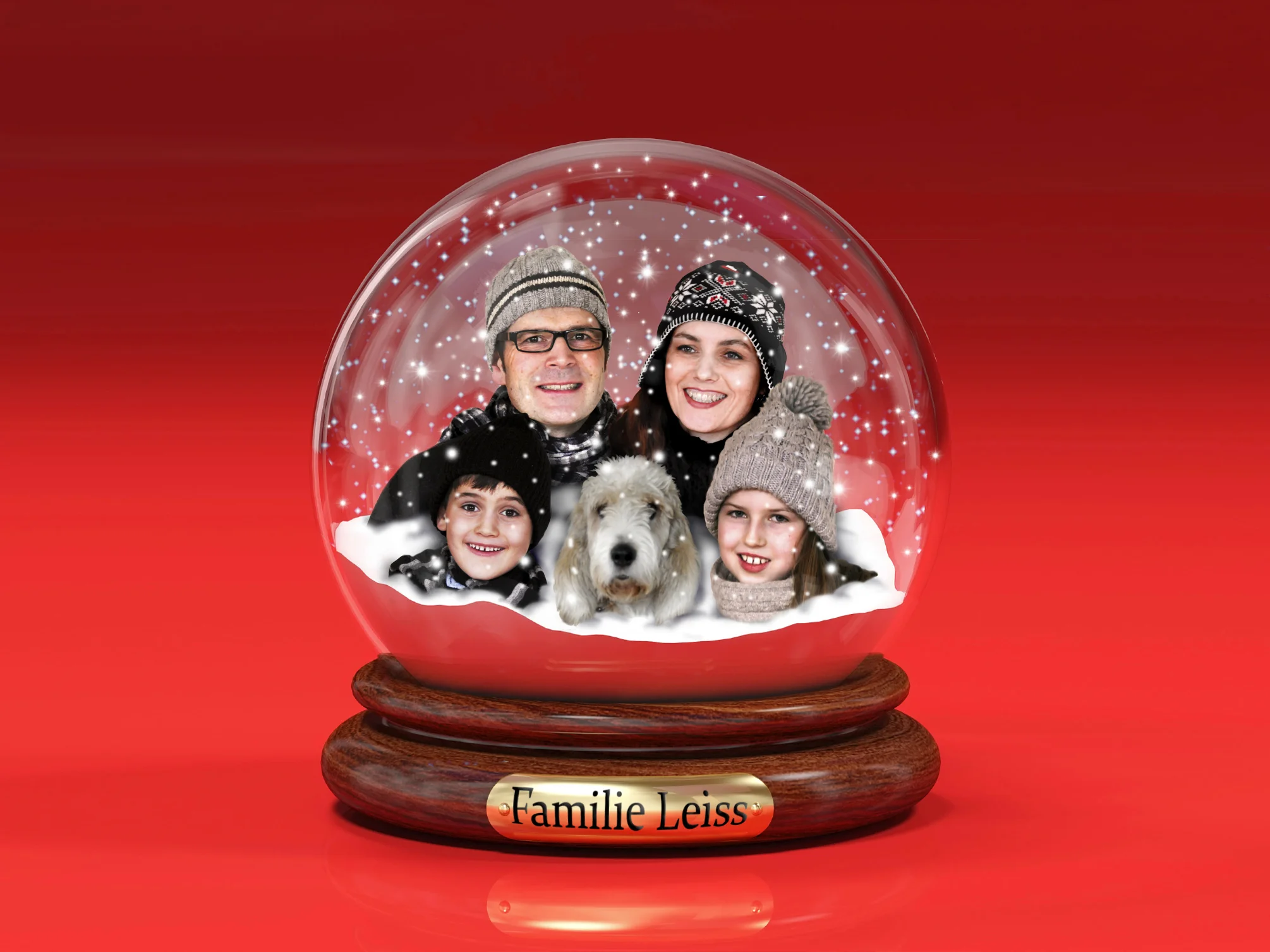 Gefangen in der Schneekugel.jpg