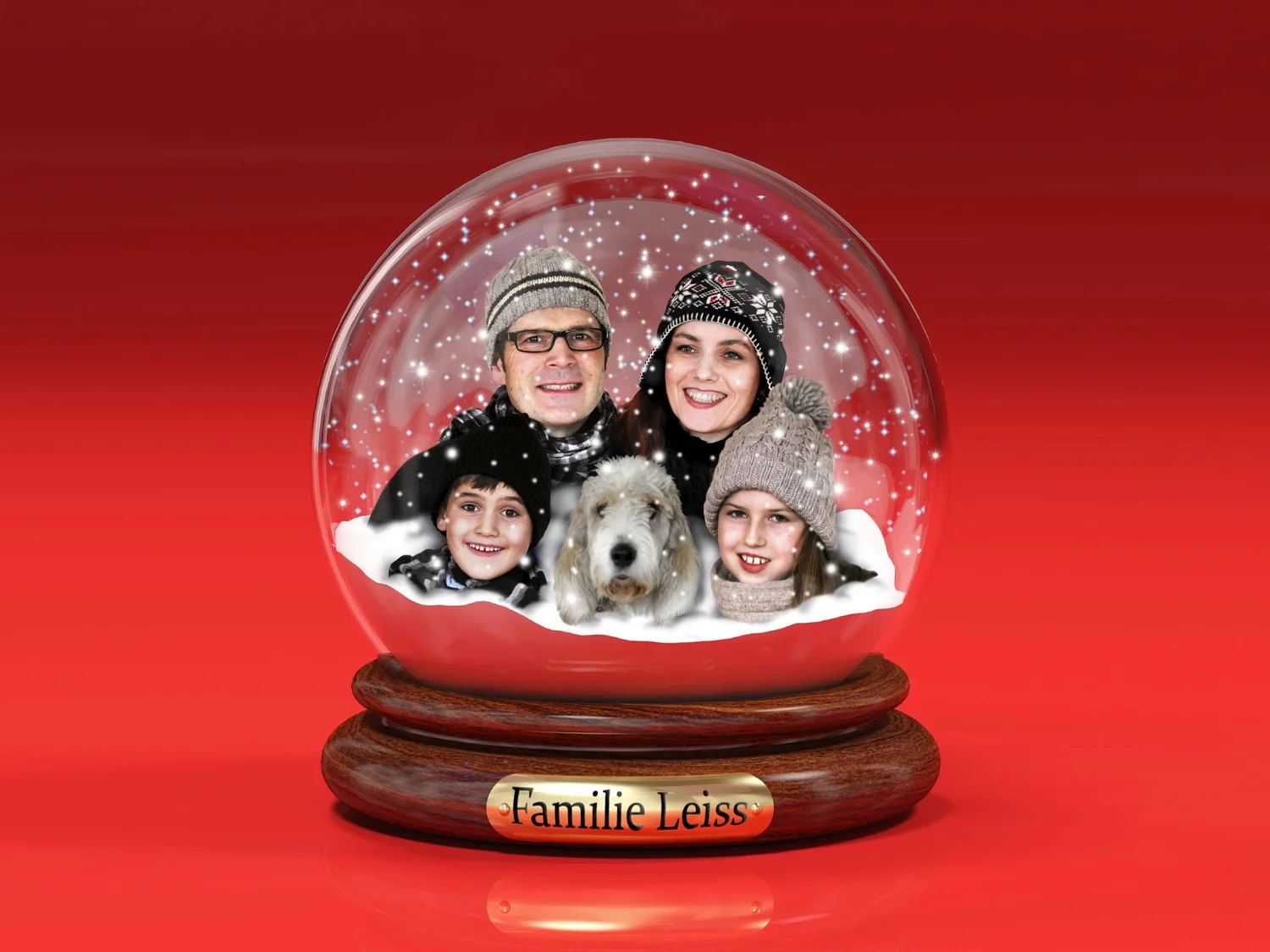 Gefangen in der Schneekugel.jpg