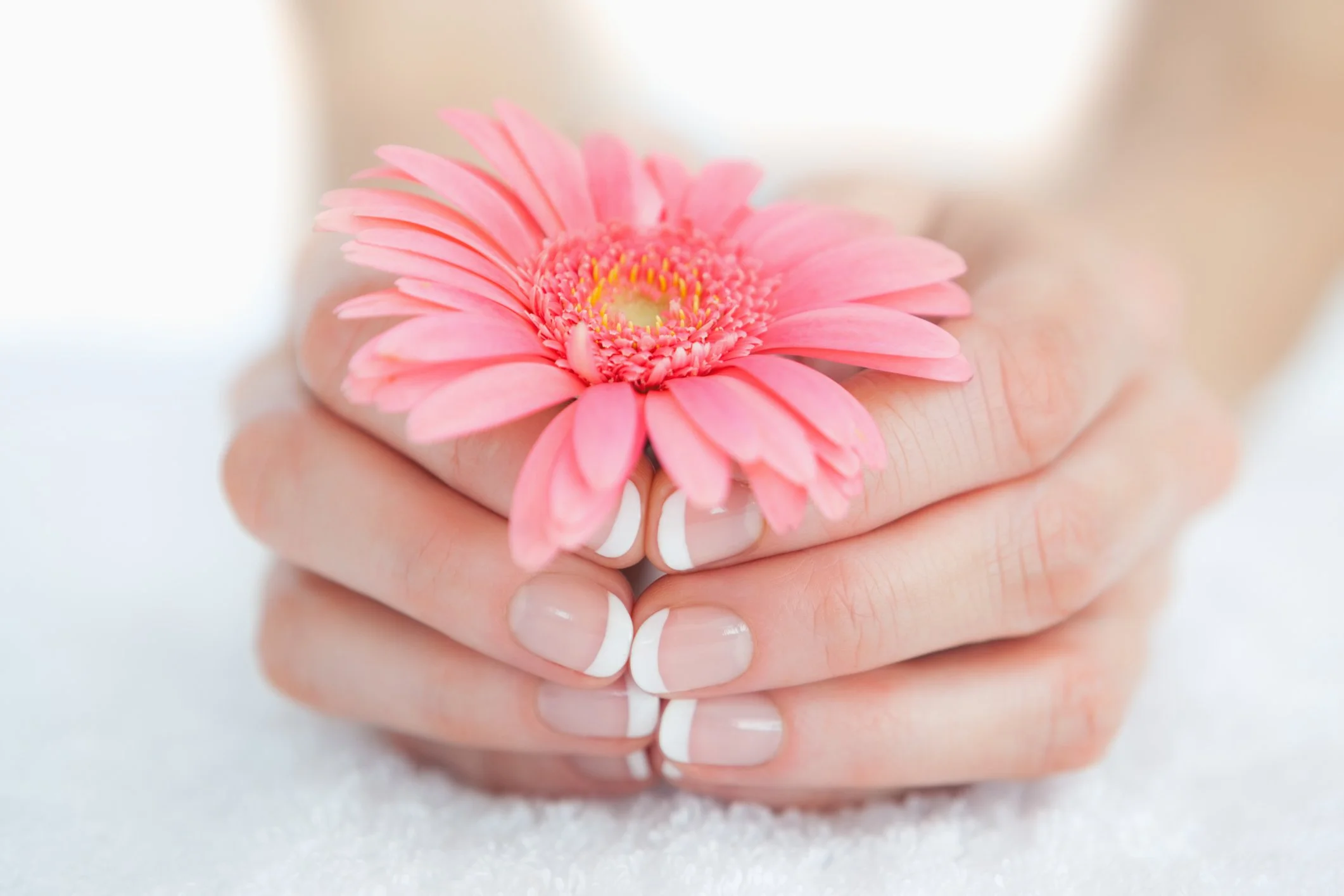 Shellac_French_Manicure.jpg