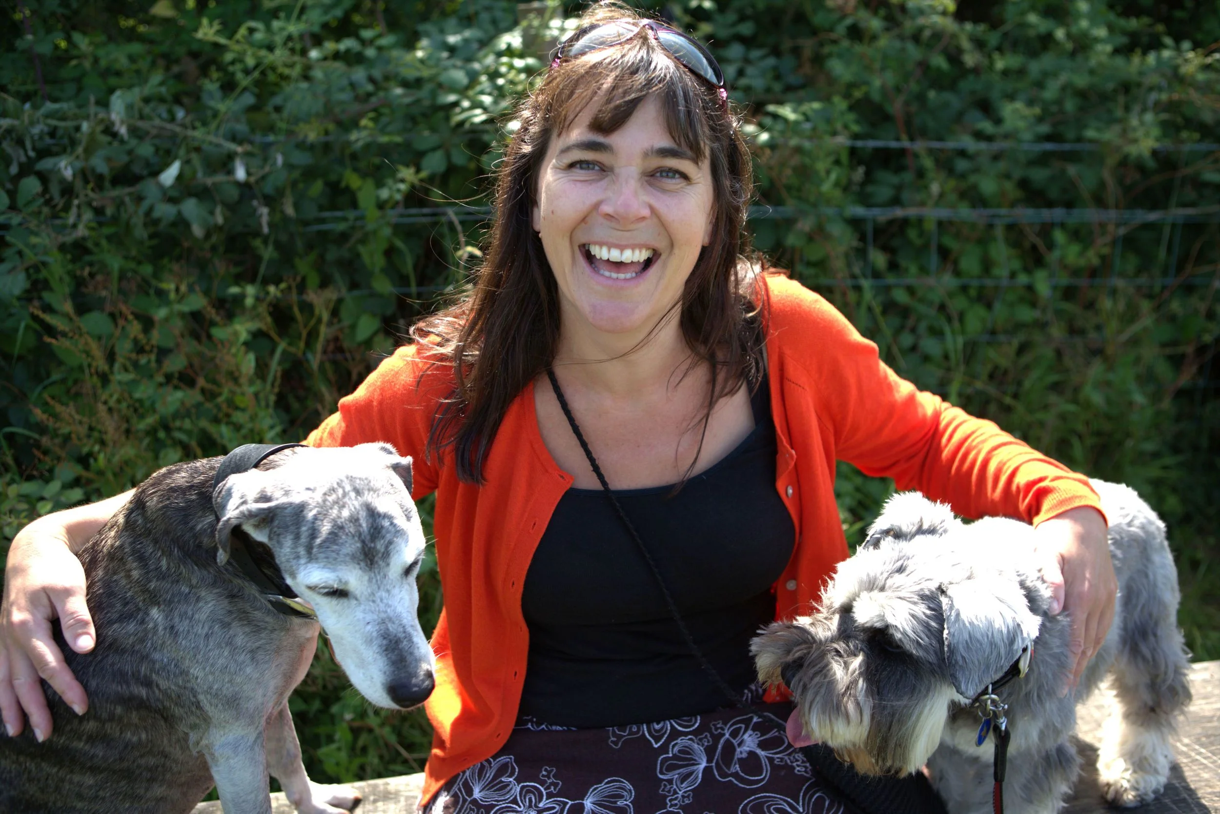 Professional dog walker providing reliable dog walking services in Bath ...
