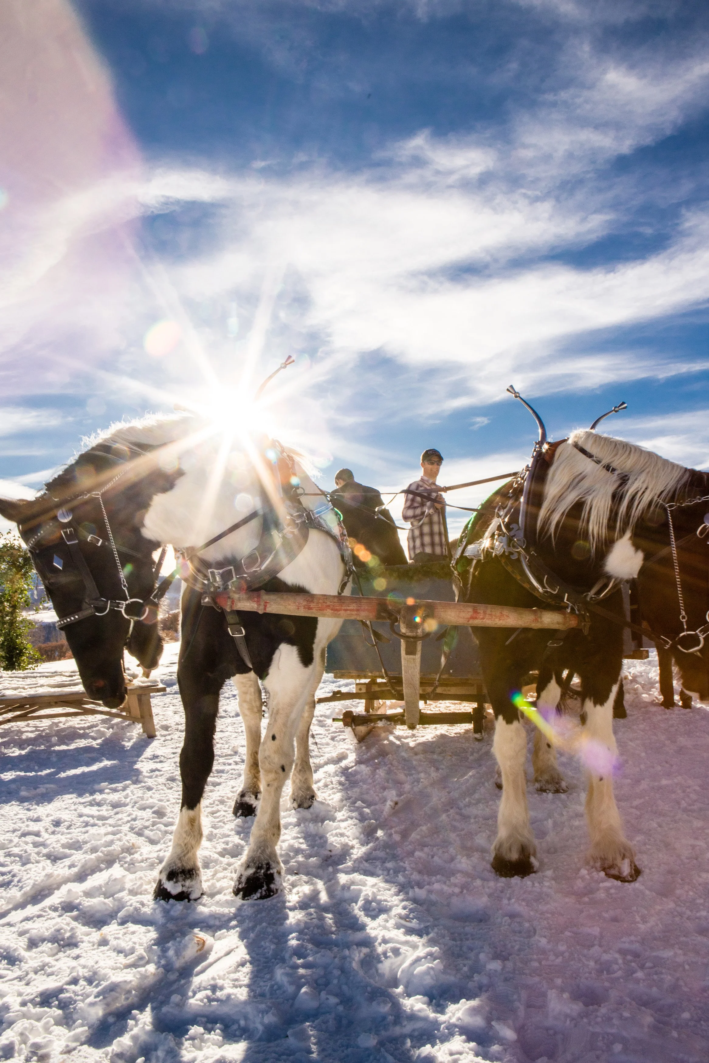 Winter Sleigh Rides — Telluride Sleighs and Wagons