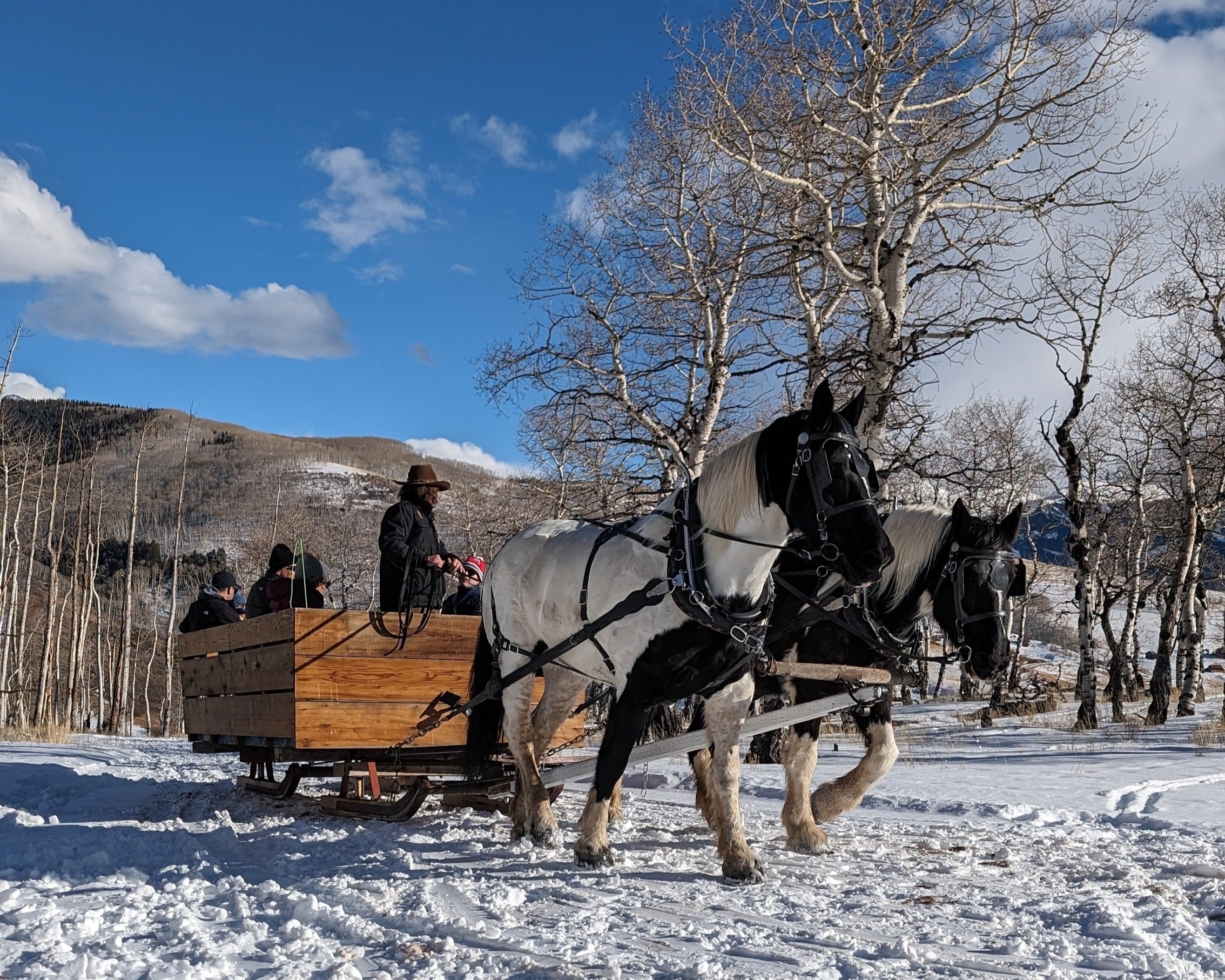 Winter Sleigh Rides — Telluride Sleighs and Wagons