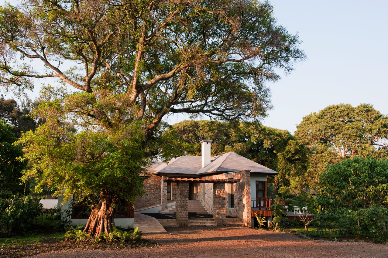 duluti_0236.jpg