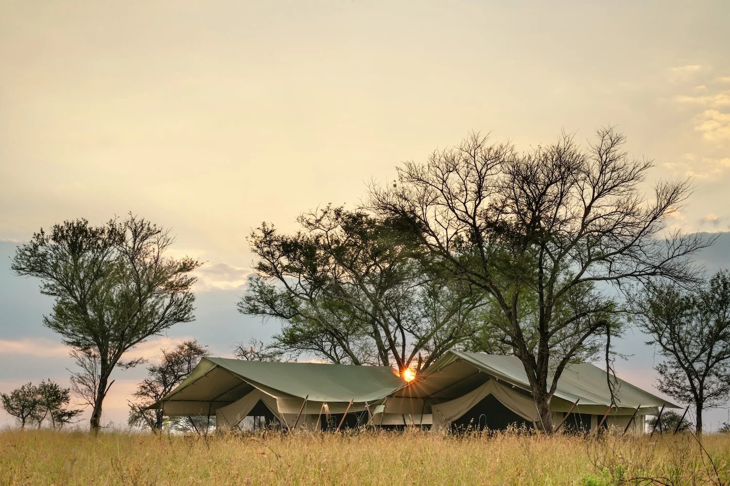 TAASA Migration Camp - Family Tented Suite (4).jpg