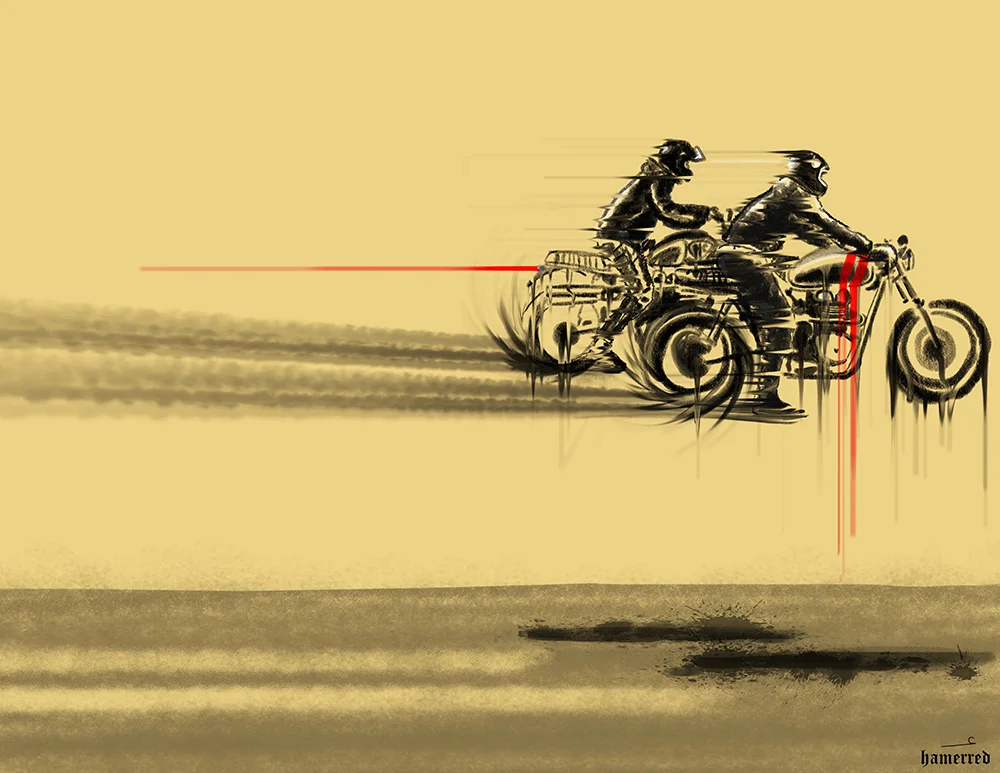 Hamerred_desert fly by.jpg