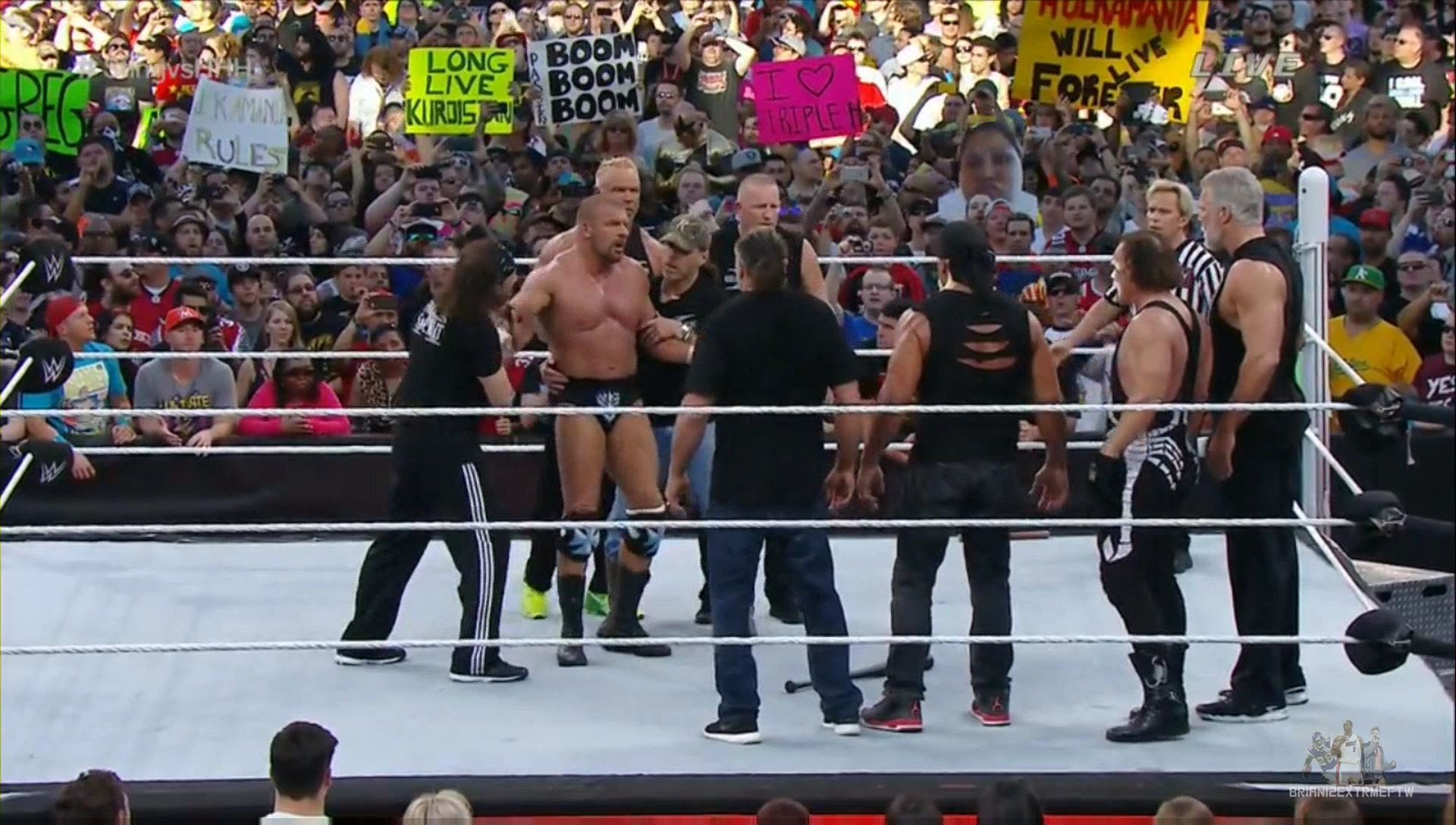 WM31pt1.jpg
