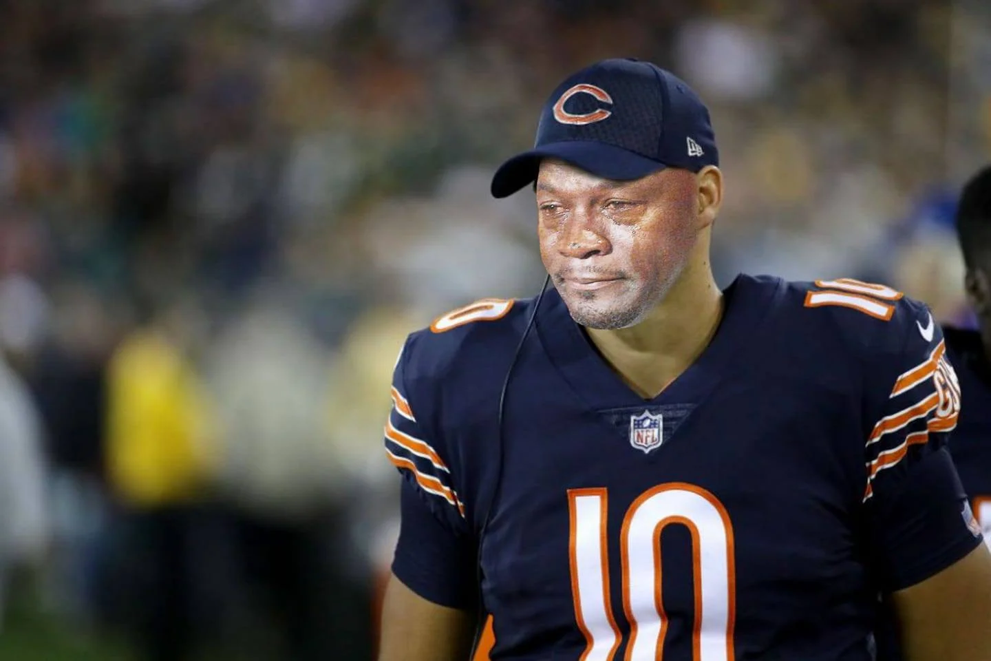 bears.jpg