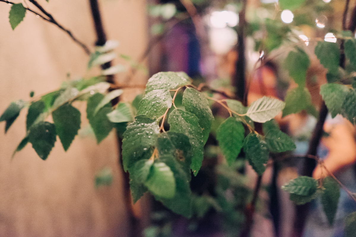 bamweddingphotography -92.jpg