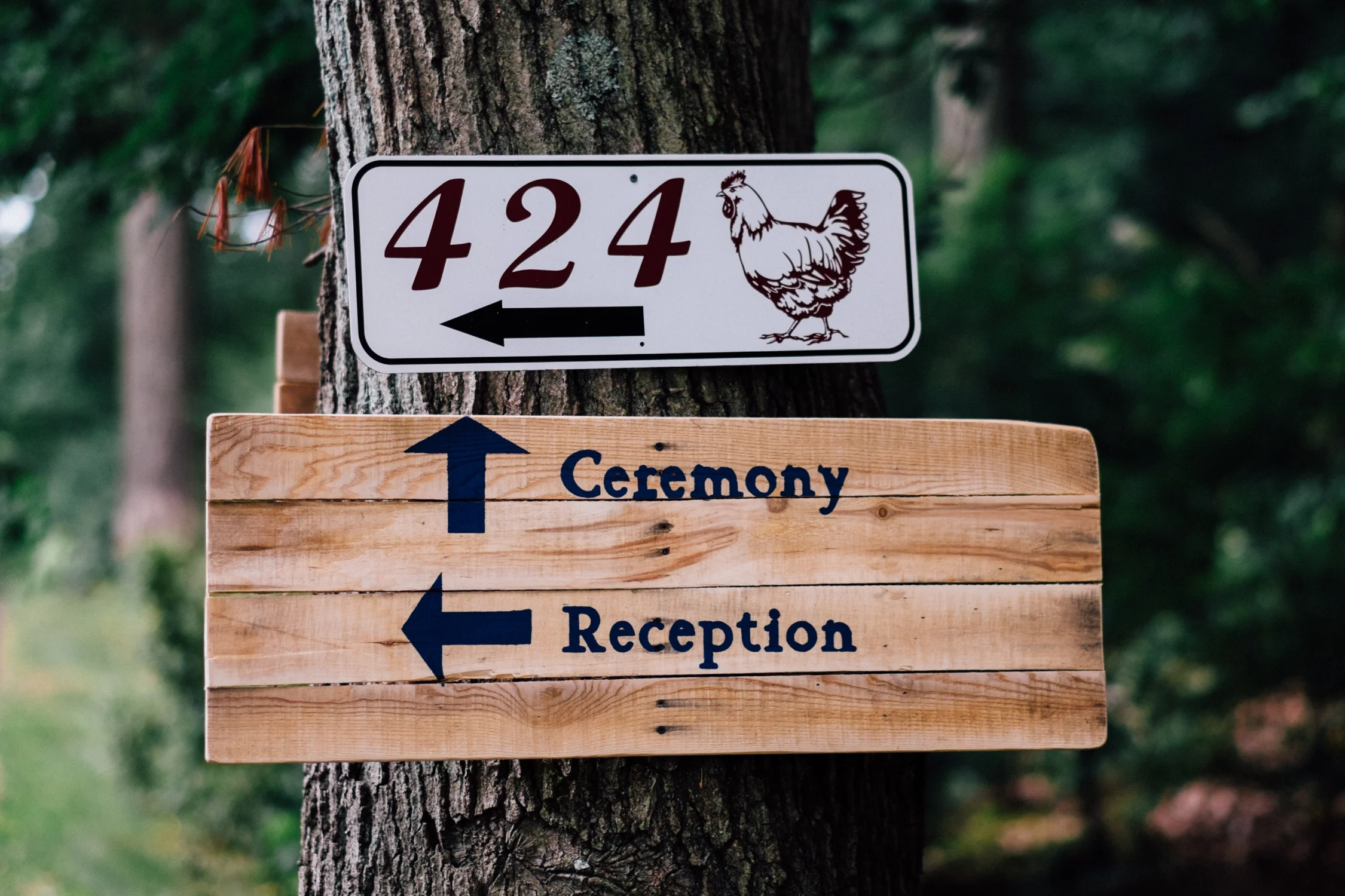 bamweddings-71.jpg