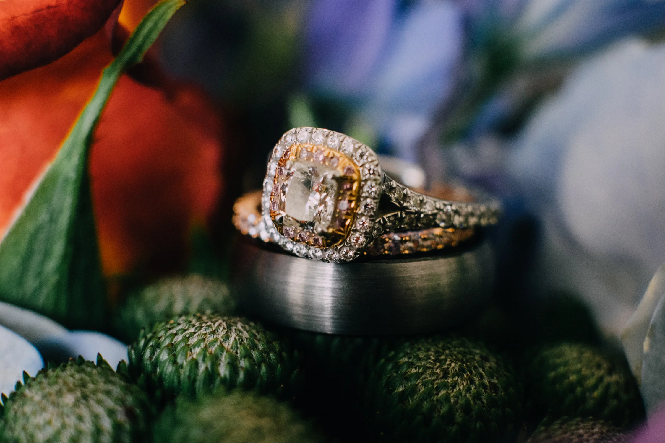 bamweddings-6.jpg