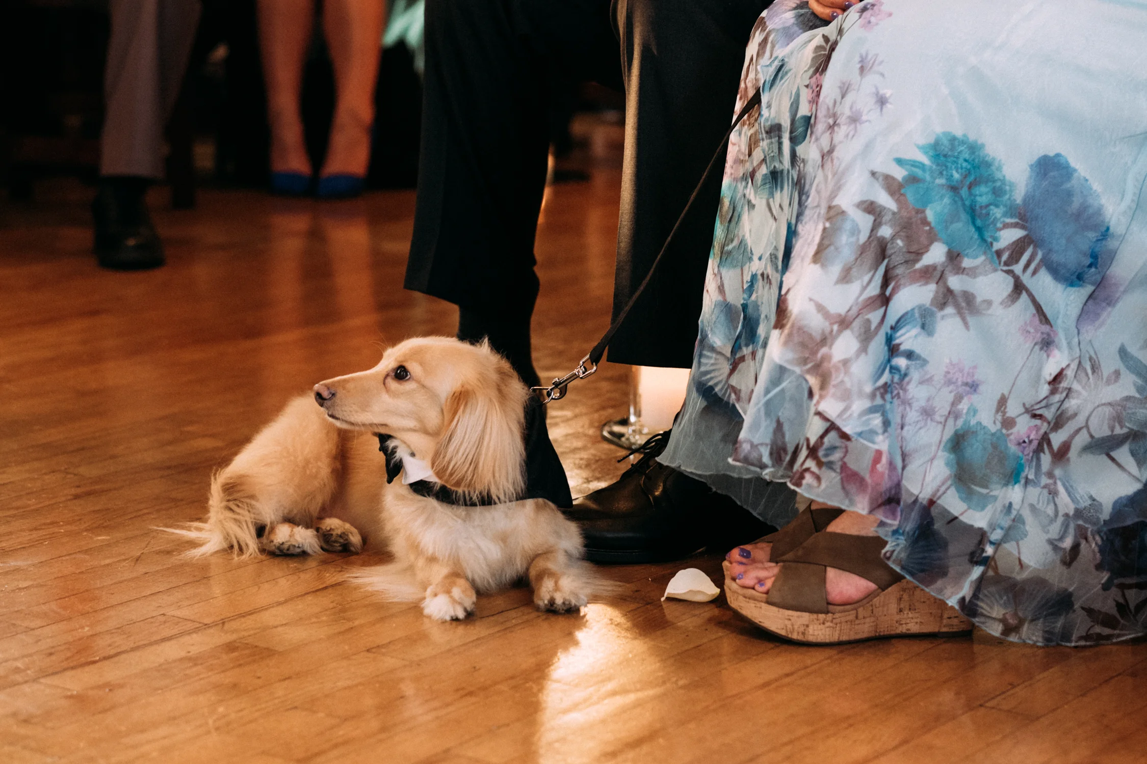 bamweddings-48.jpg