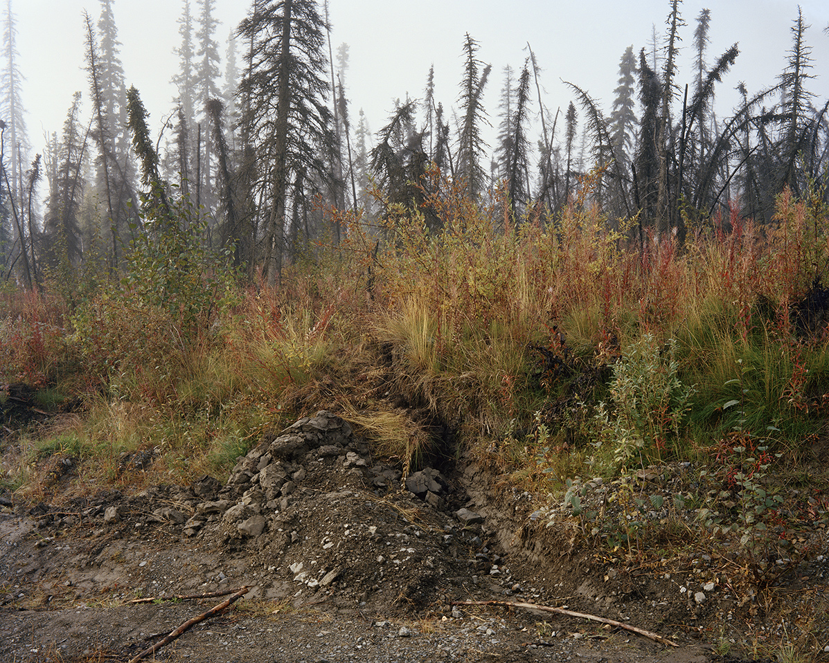 m91_smoke_fireweed.jpg